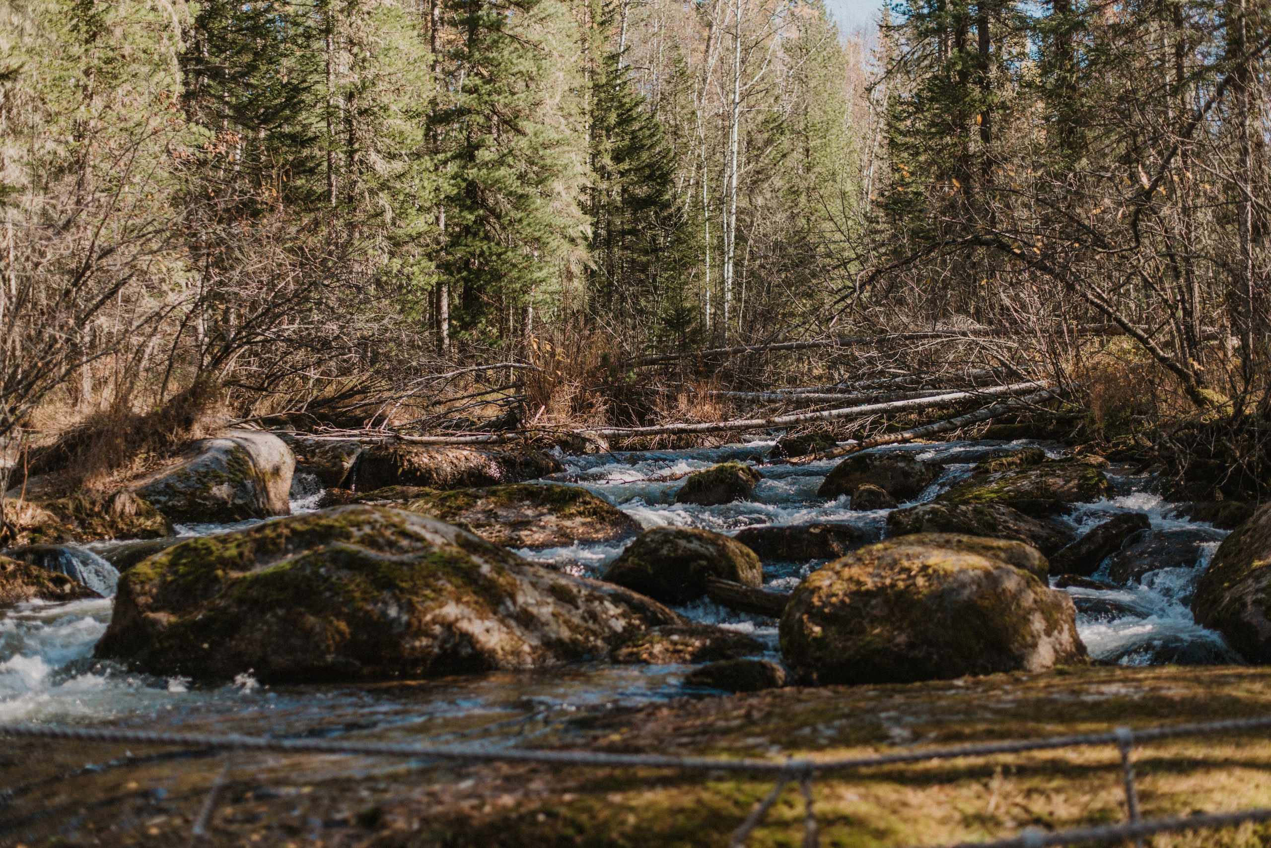 Кутурчины. Свадебный и семейный фотограф в Красноярске Наталья Дроздова
