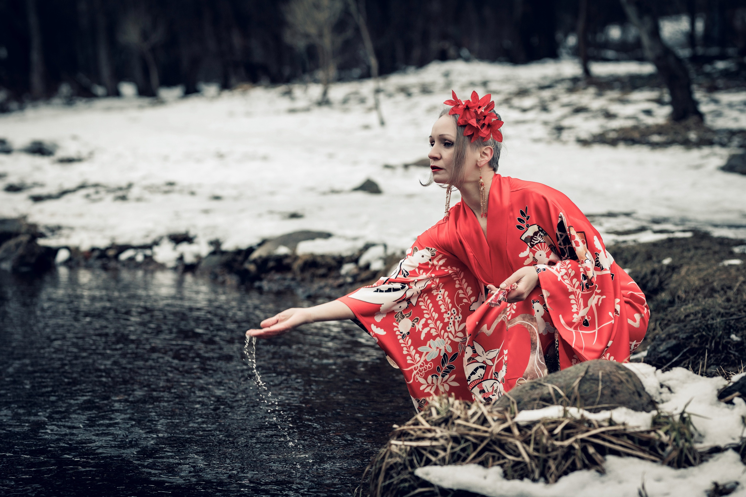 2025-03-02. Сакура