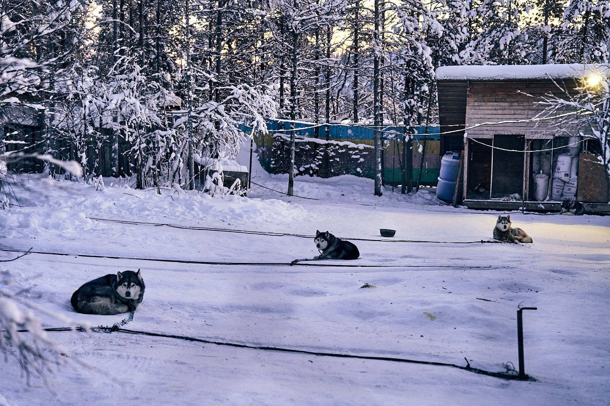 Путешествие В Арктику в 2024 году. Внедорожные путешествия — OFFROADTRIP