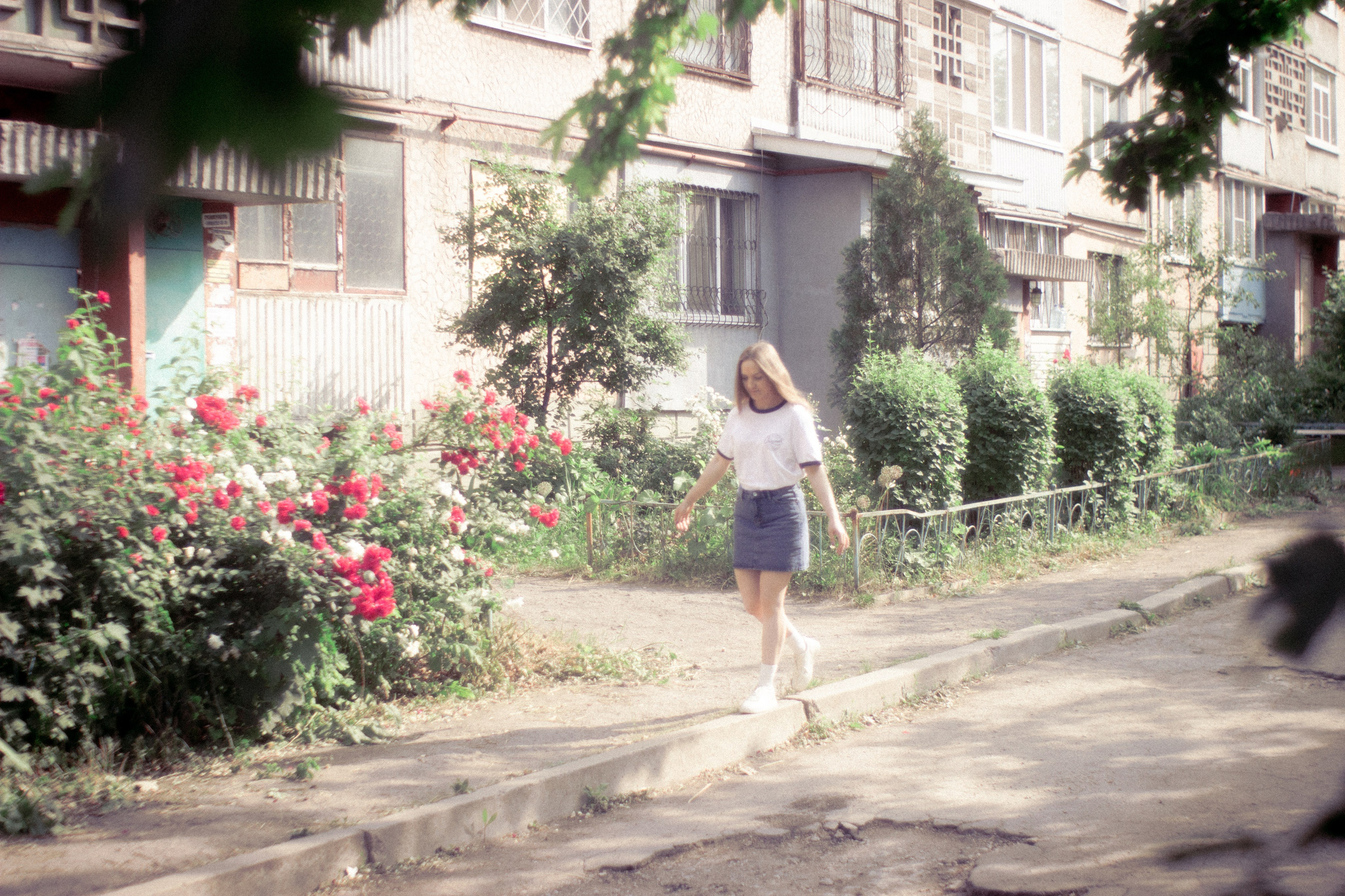 Безмятежное лето. • Фотограф Александра Светозар Алчевск •