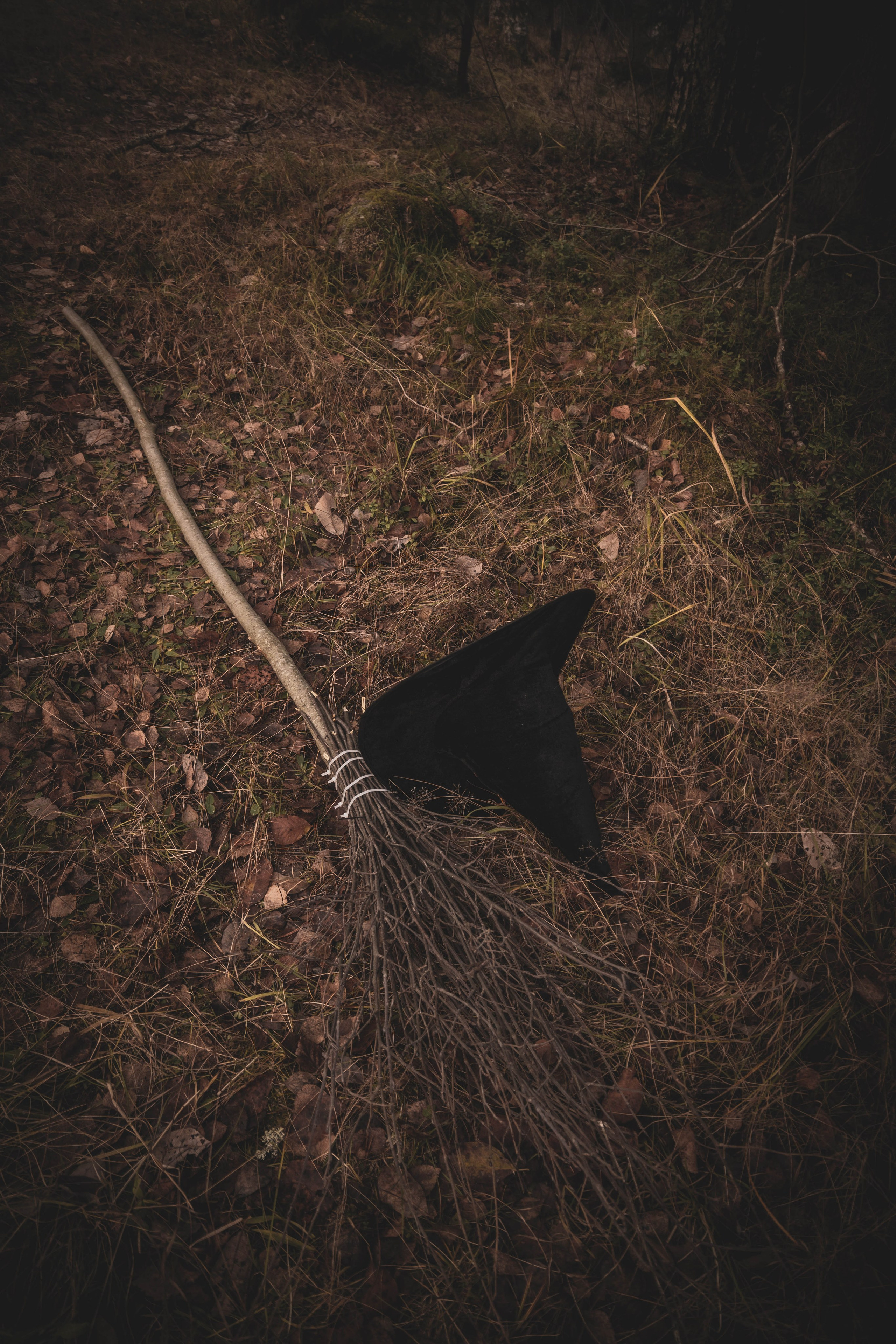 Ведьмочки. Фотограф Екатерина Шишкина. Питкяранта. Карелия