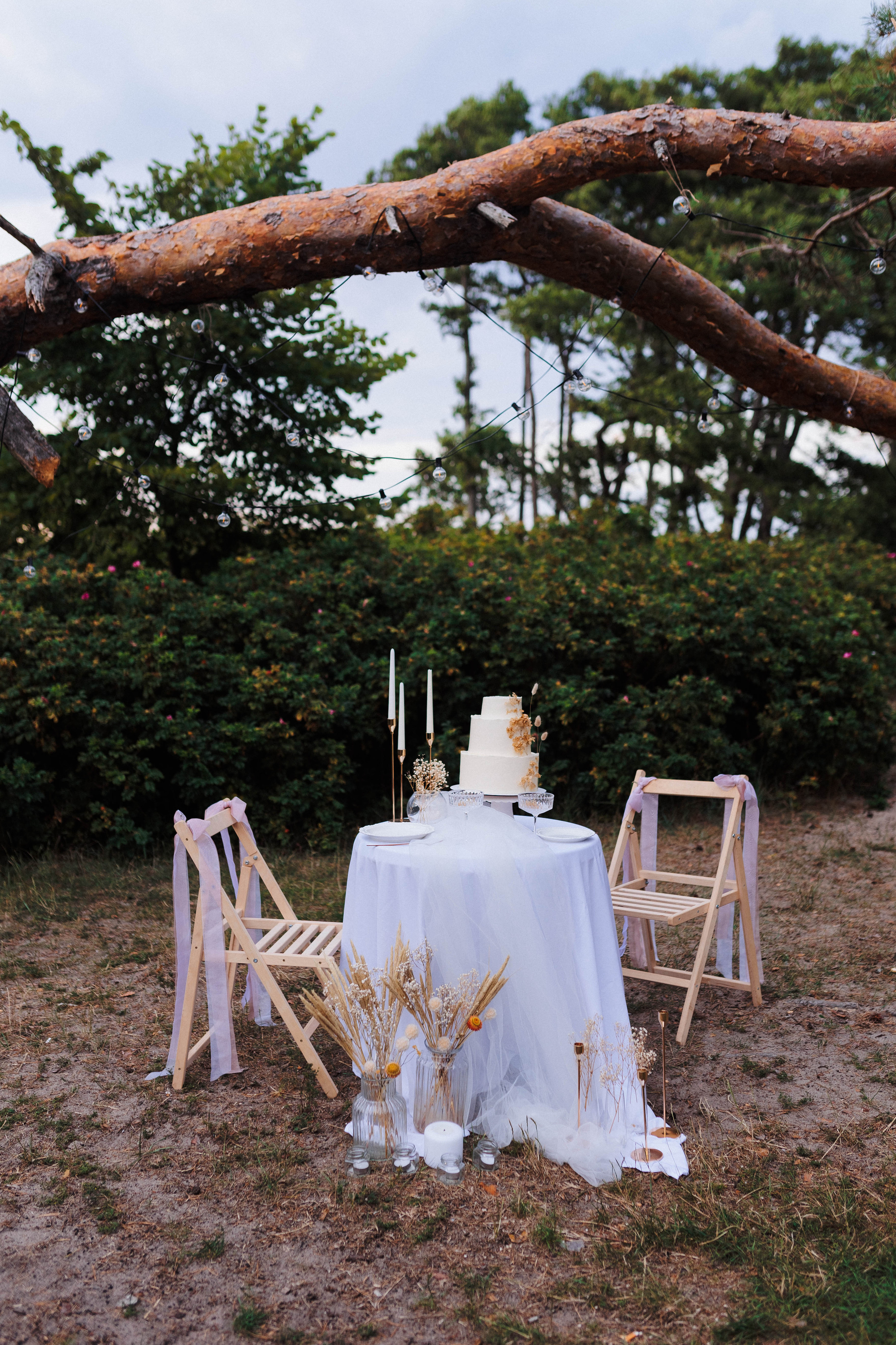 Ярослав & Настя. Фотограф Полина Лытнева