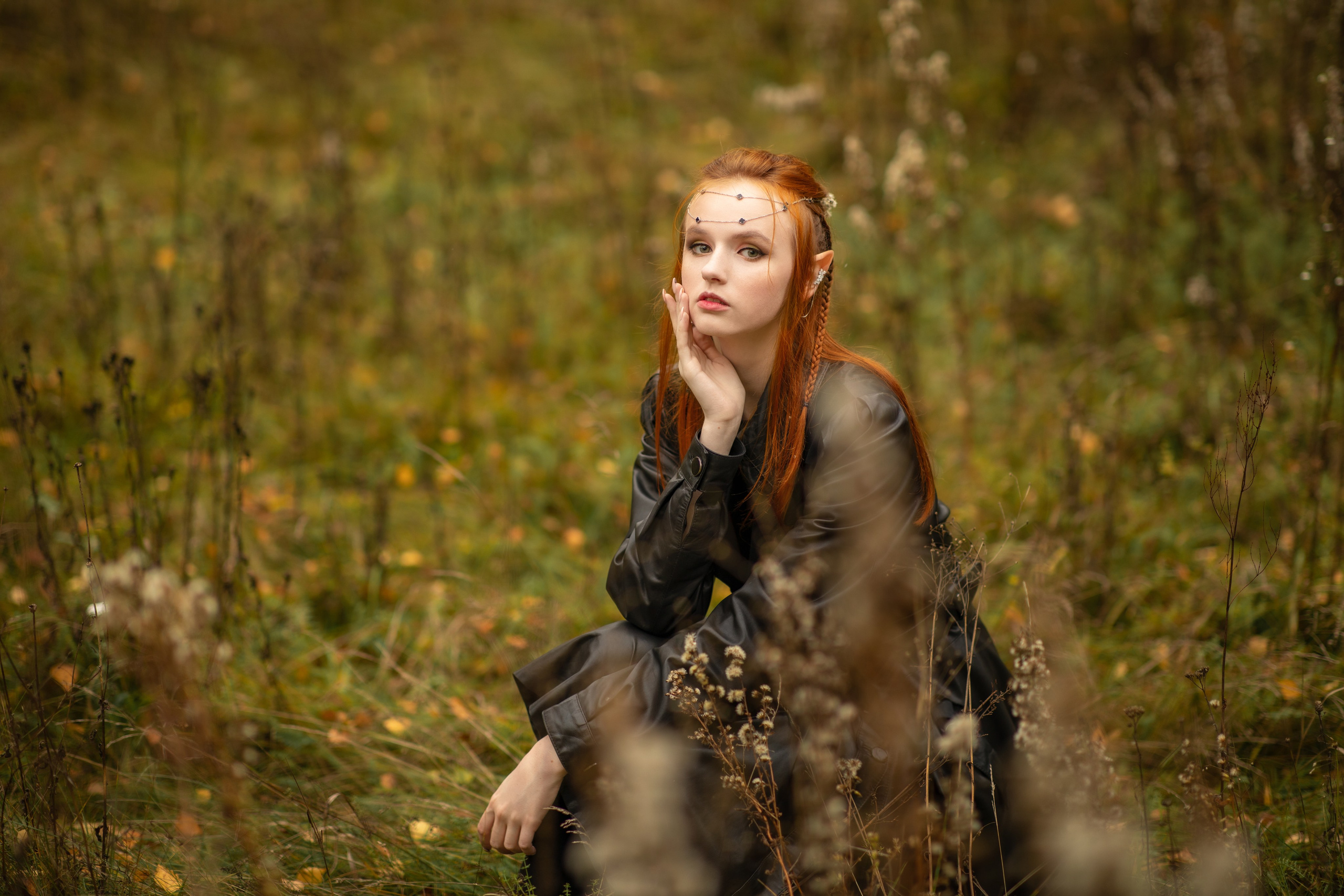 Волшебный лес