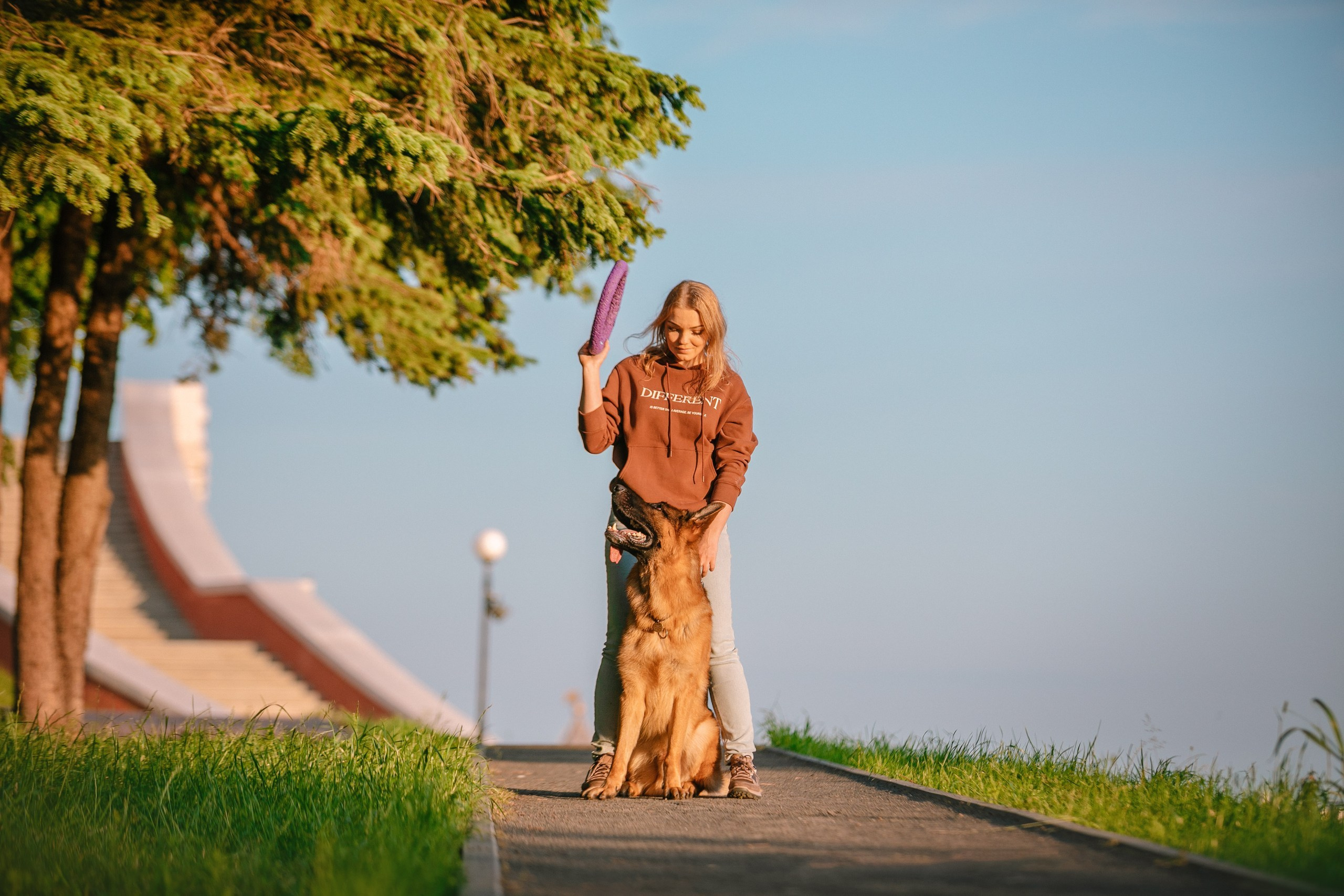 НО Расмус. Рассвет. Фотограф анималист Кузнецова Анна Нижний Новгород
