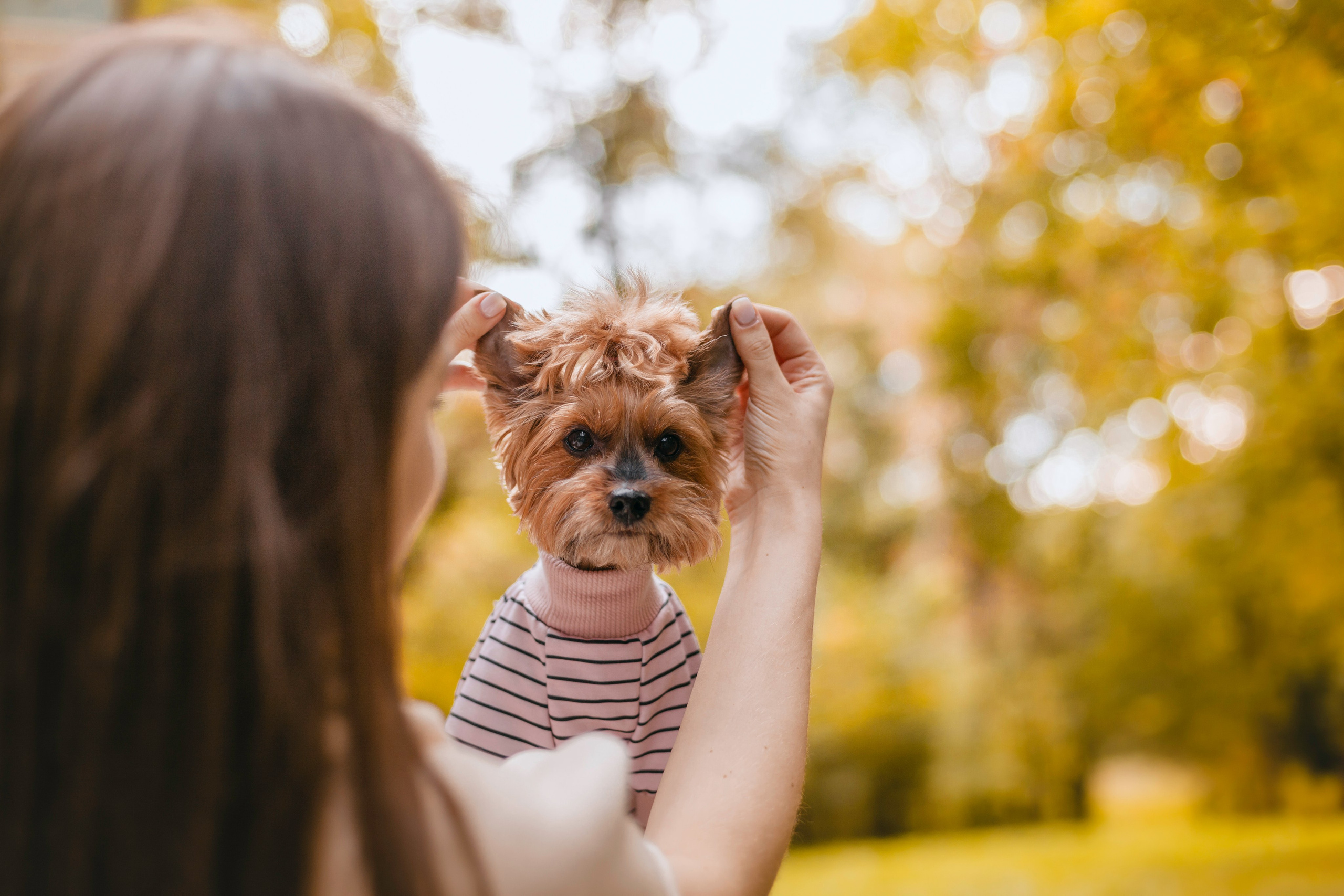 Катя и Моня. Фотограф-анималист Татьяна Степанова