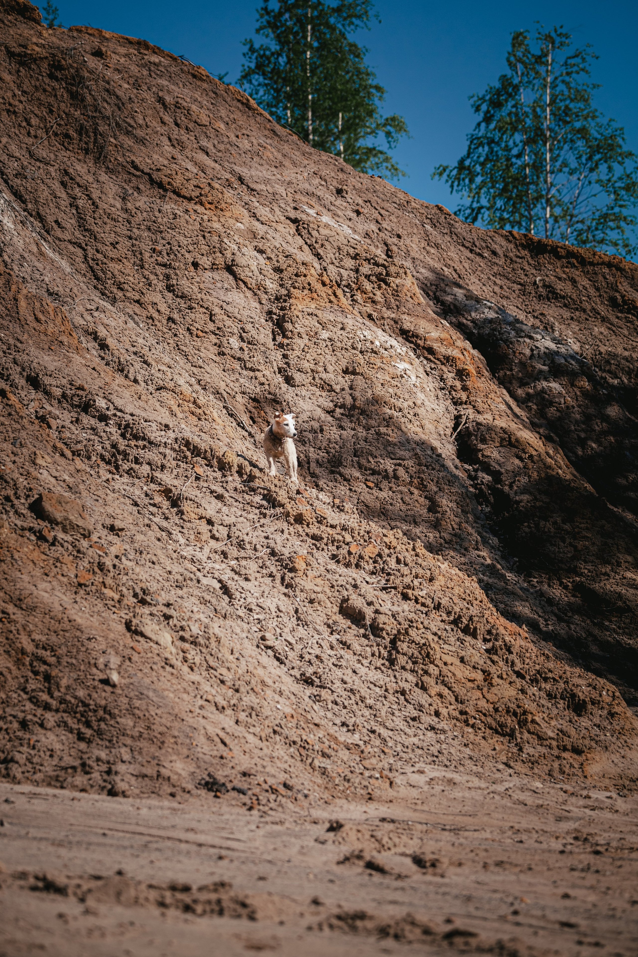 Кондуки. Фотограф-анималист Татьяна Степанова