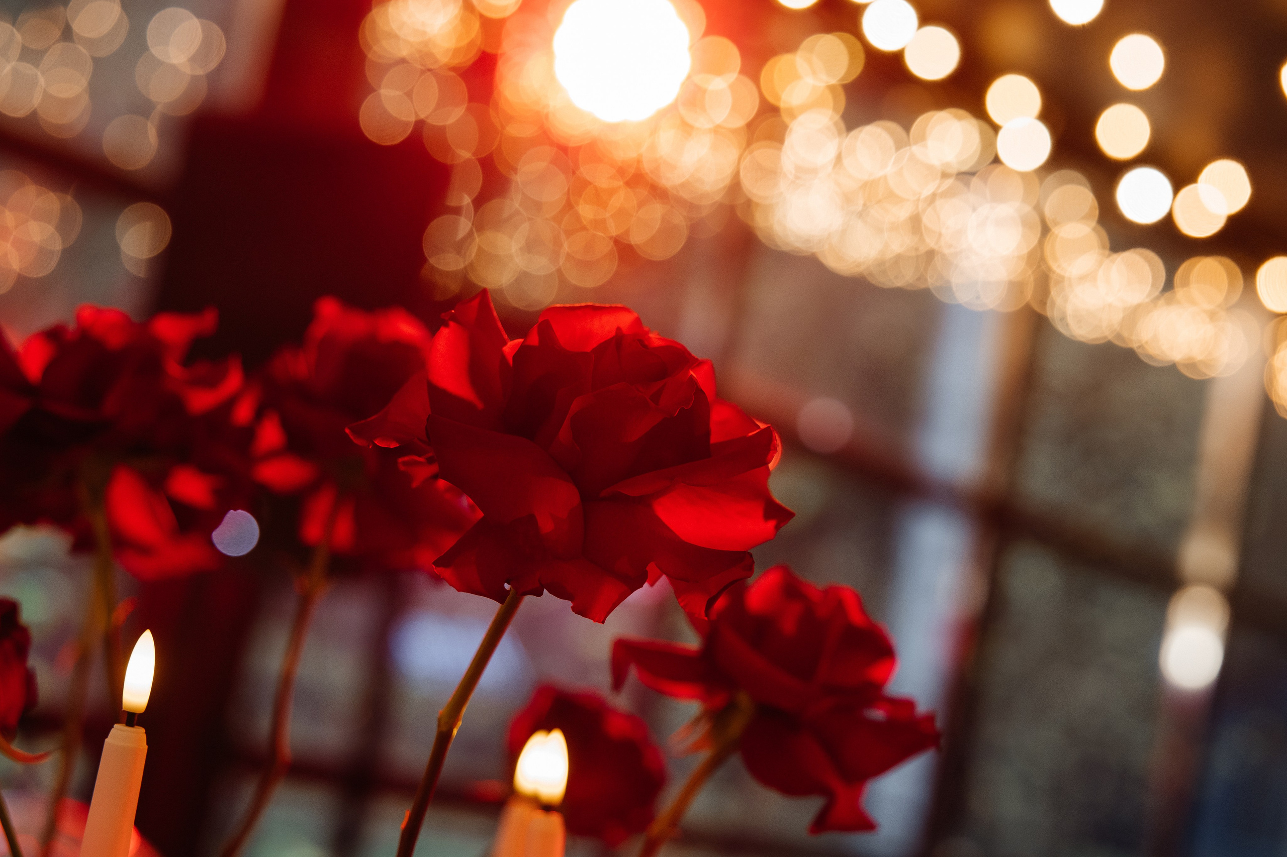 Даниил и Даша. Свадебный фотограф Лёша Ходос