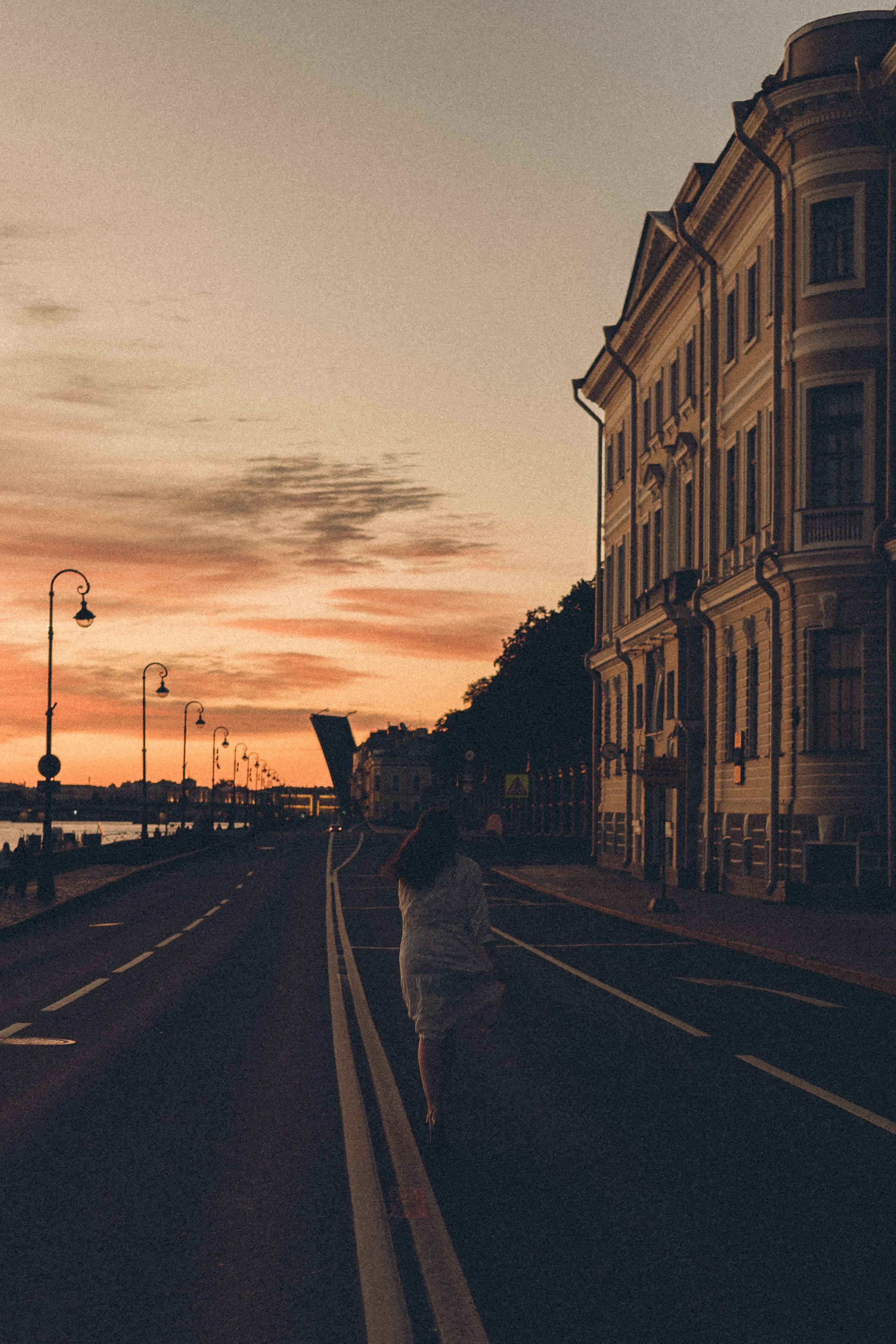 РАССВЕТ С РАЗВОДНЫМИ МОСТАМИ. Профессиональный фотограф, Санкт-Петербург — Виктория Богомолова