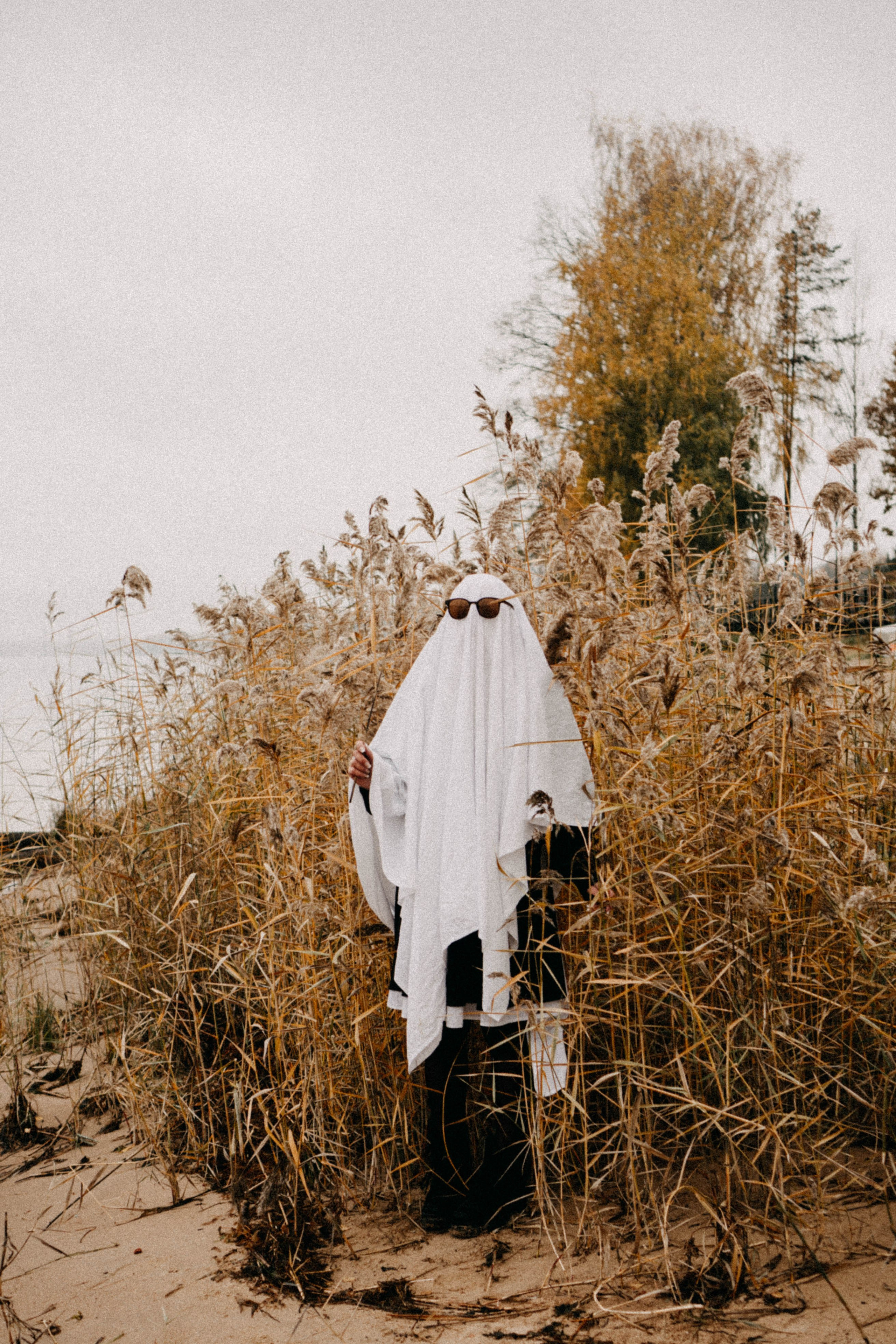 Осеняя. Профессиональный фотограф, Санкт-Петербург — Виктория Богомолова