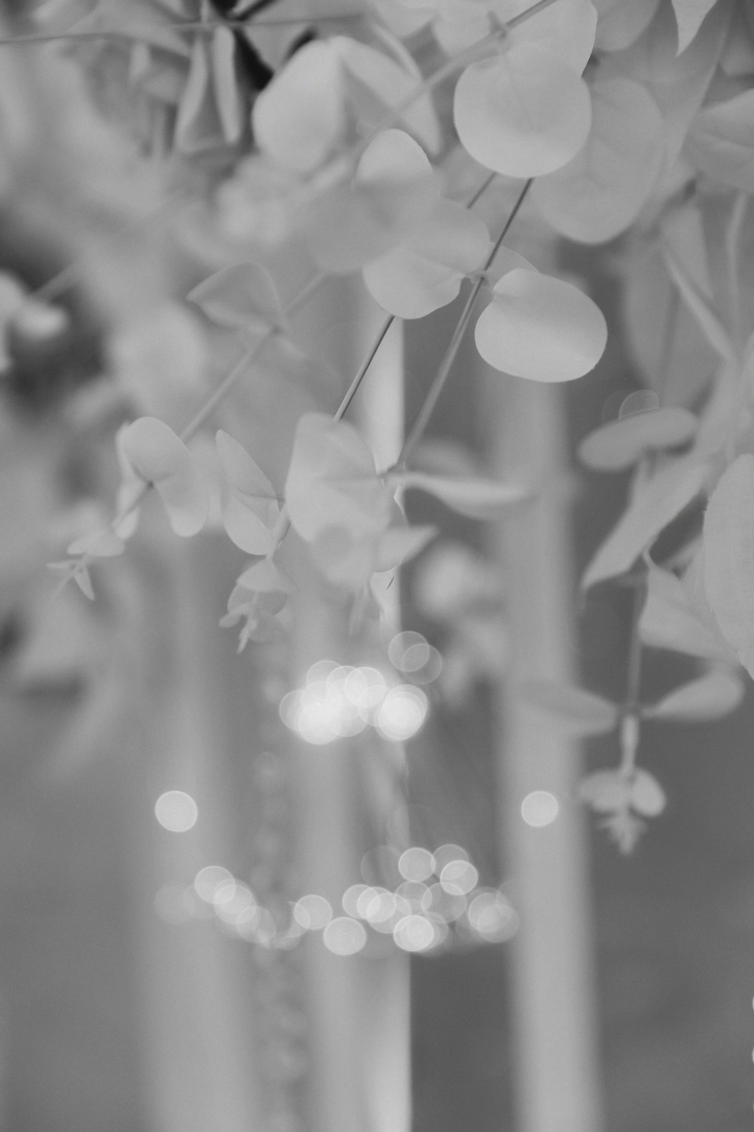 Красивая дата. Фотограф Елена Краснопевцева