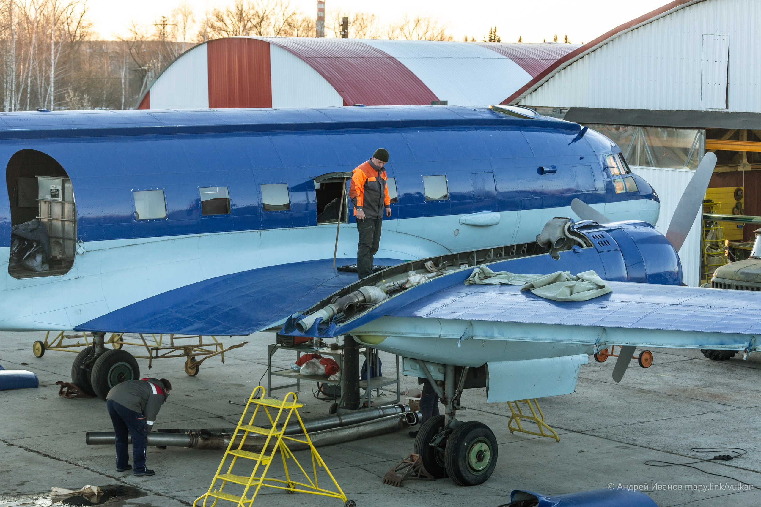 Ил-14Т «Голубая Мечта» (2026 г.). Фотоальбом показывающий увлекательный мир авиации и мир медведей Андрея Иванова