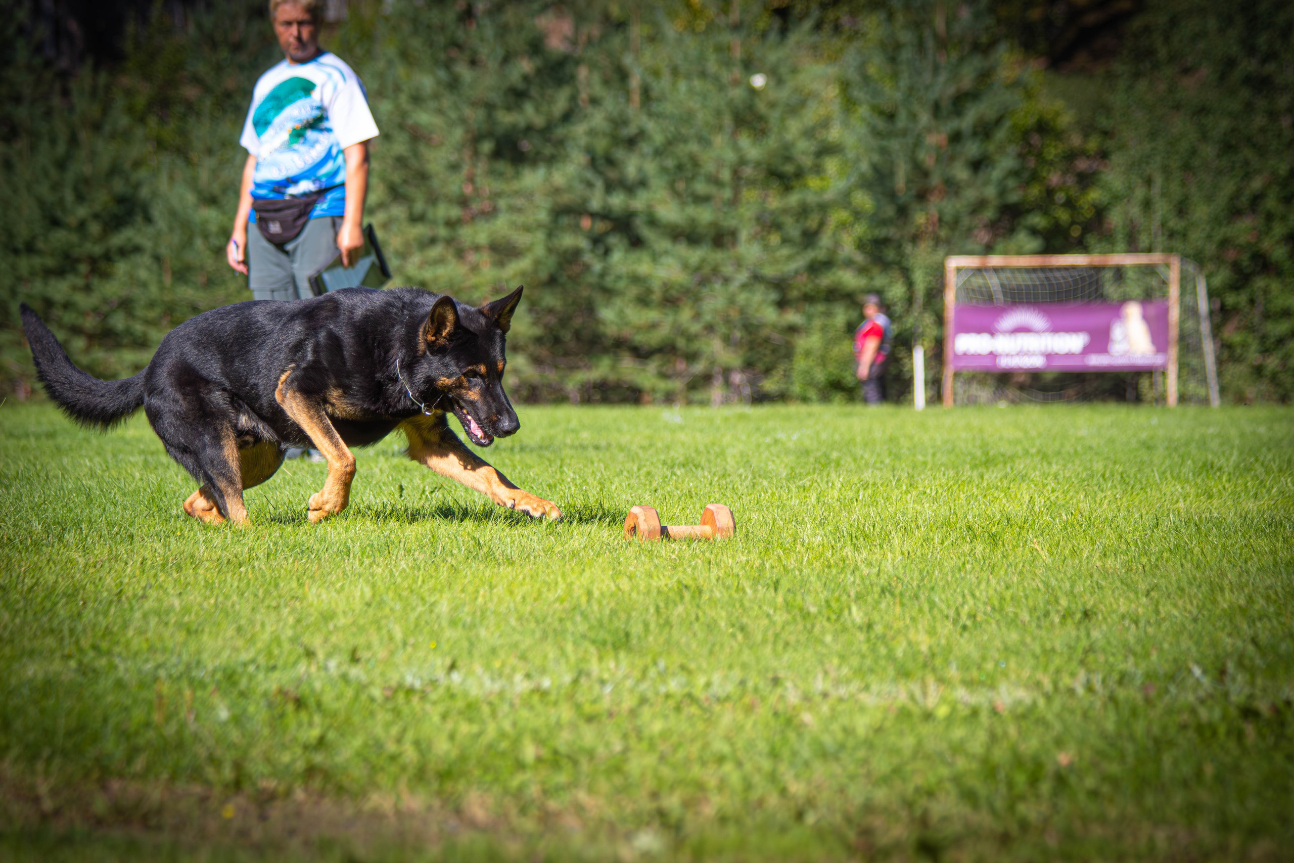 Фотограф анималист репортаж. Фотограф анималист — Тула, Москва