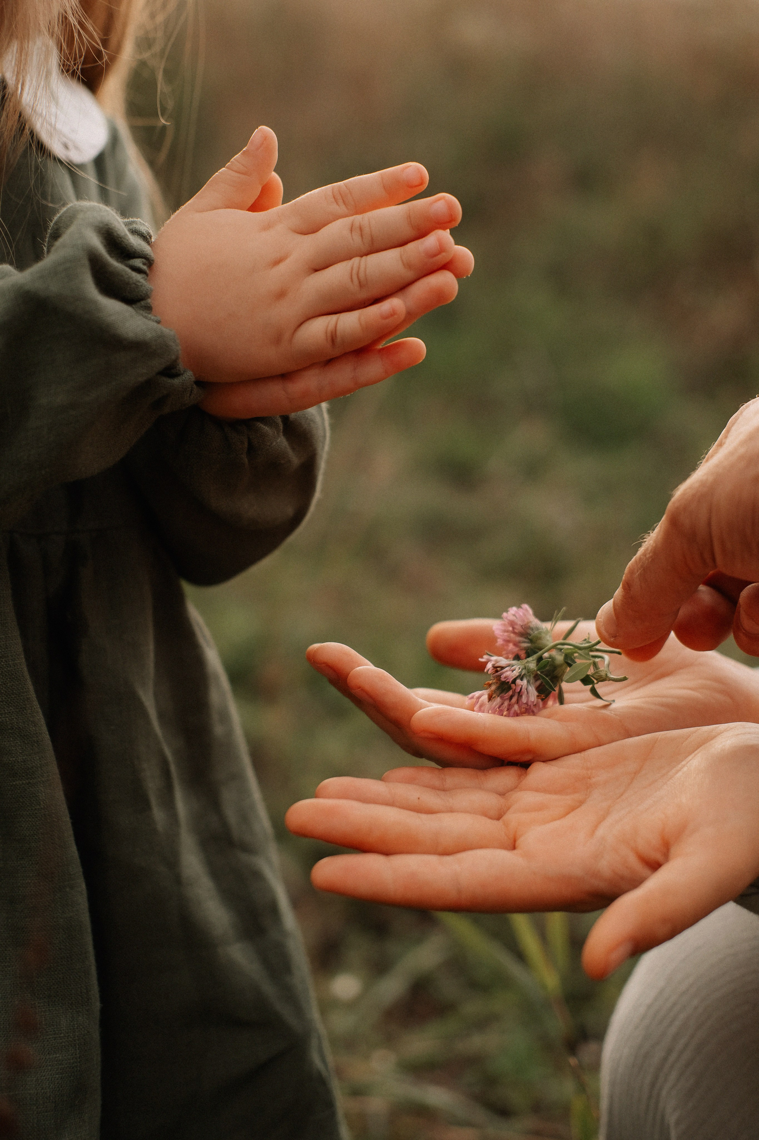 Семейные фотосессии в Сочи, Сириус и на Красной поляне. Семейный, свадебный фотограф Сочи, Адлер, Красная поляна