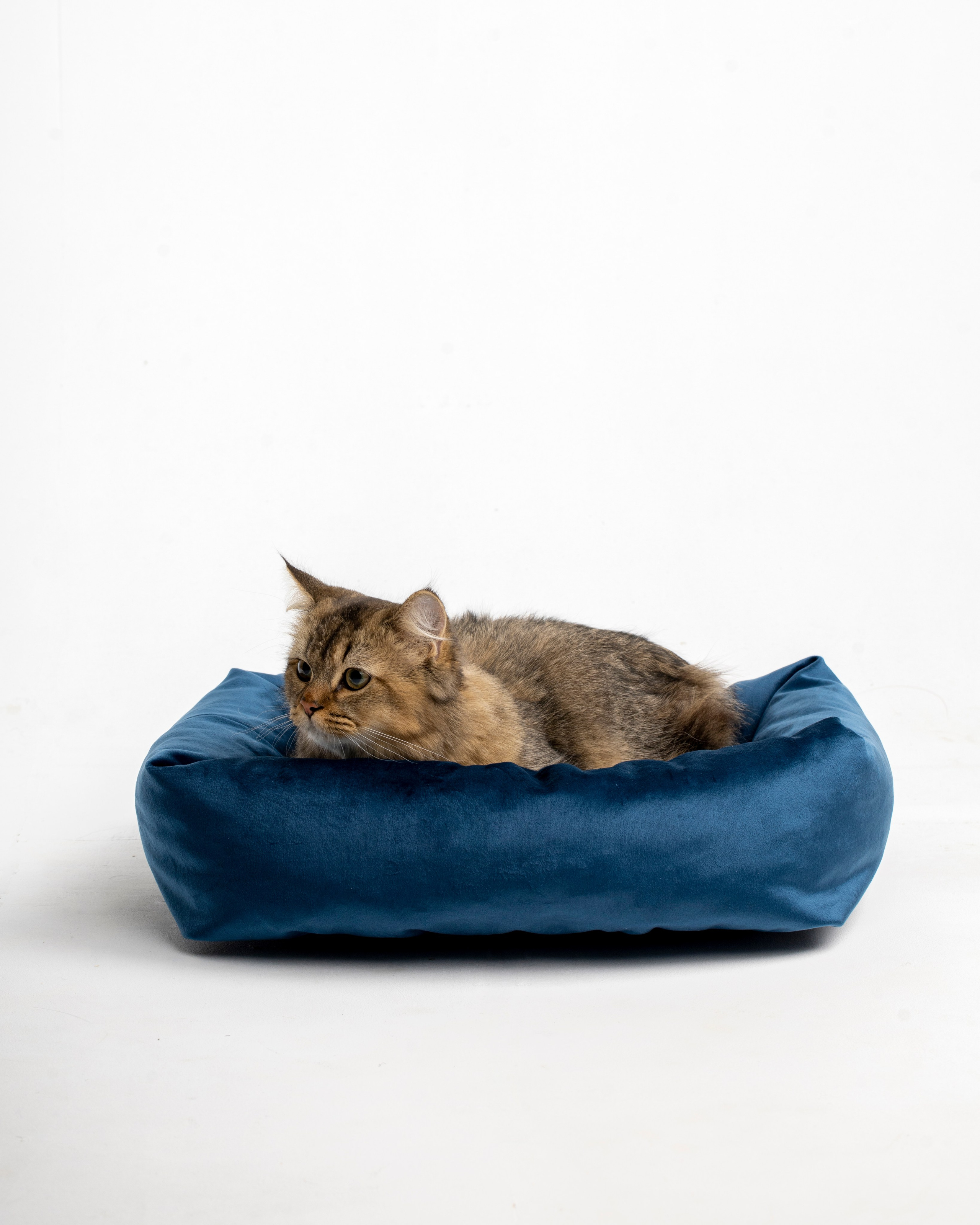 Лежанки для животных. Предметный & фудфотограф Рязань