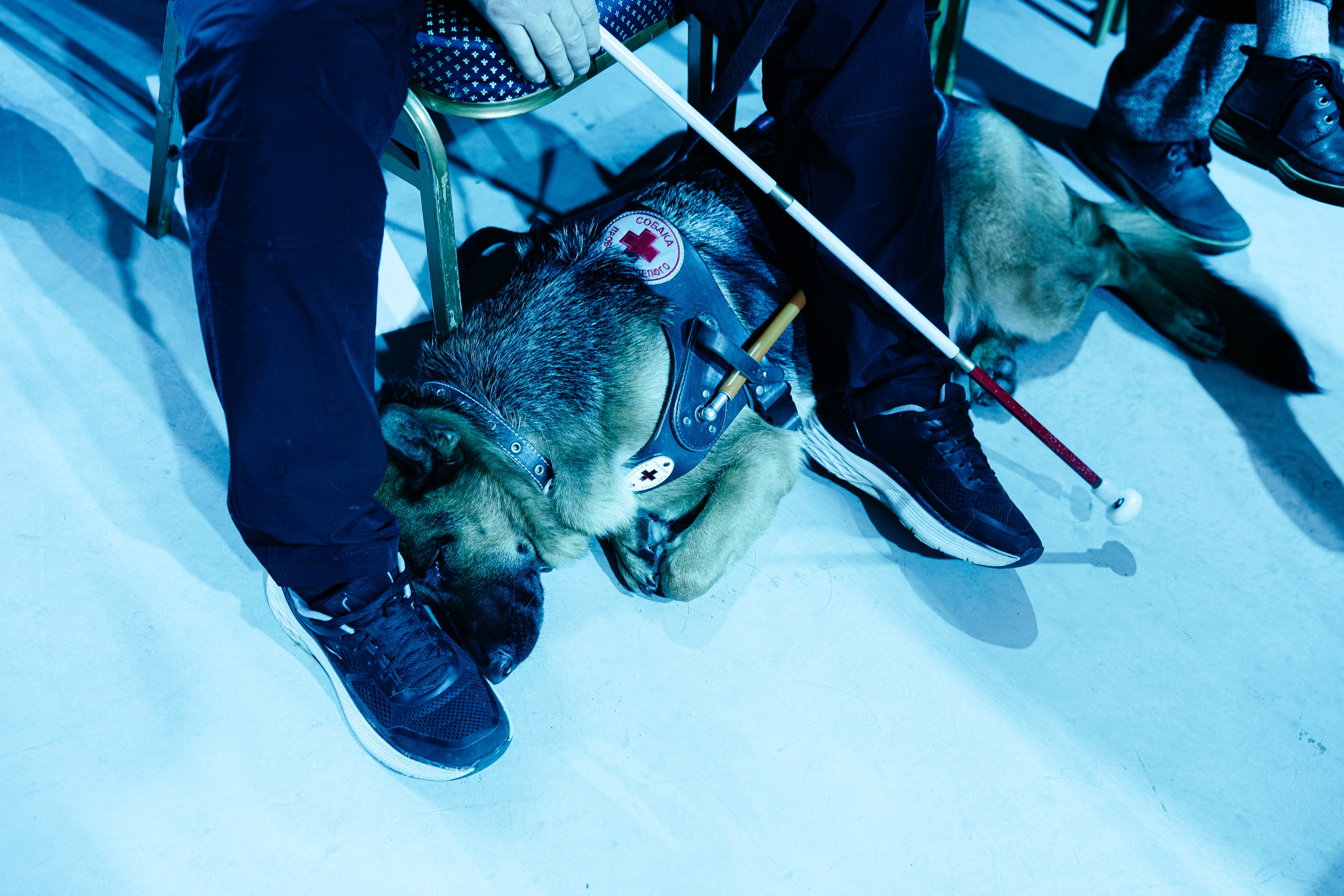 Абилимпикс 2025. Коммерческий фотограф в Санкт-Петербурге Анна Кобзарь