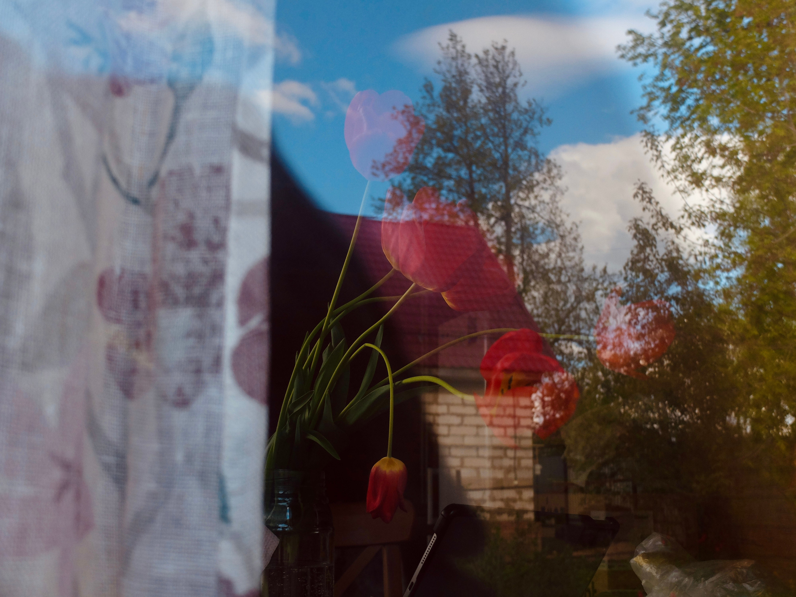 Одиночные. Фотограф Евгений Андреев