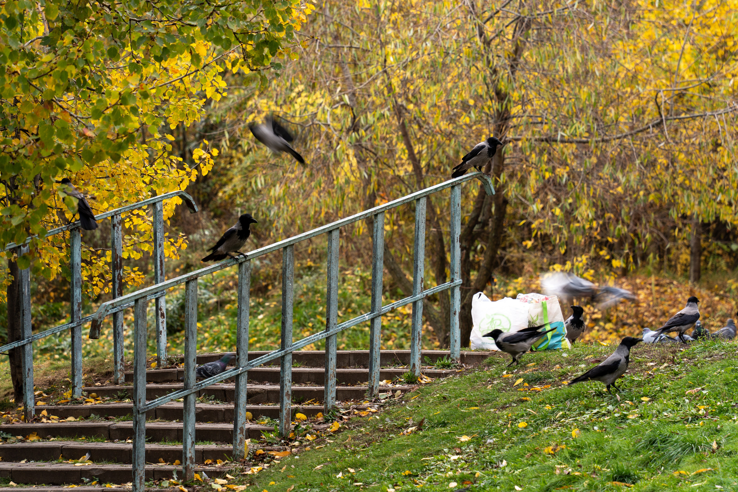 20251012 МГУ. Дмитрий Ремизов. Фотография, как хобби