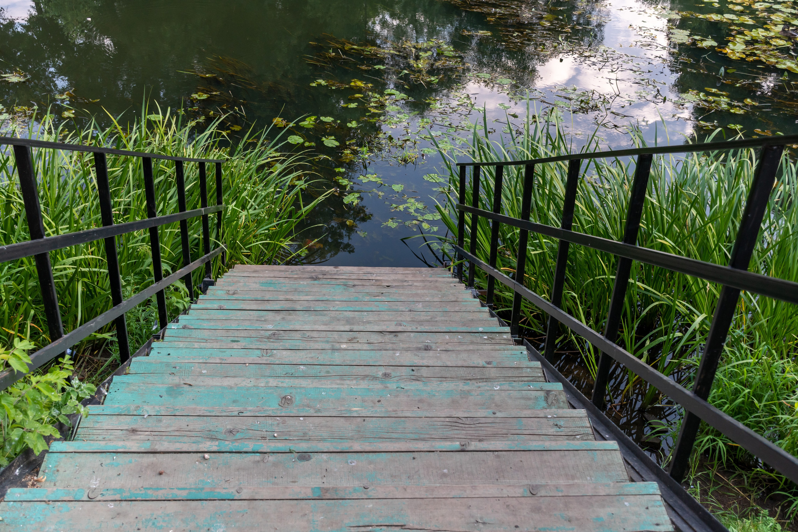 20220802 Вязьма. Дмитрий Ремизов. Фотография, как хобби