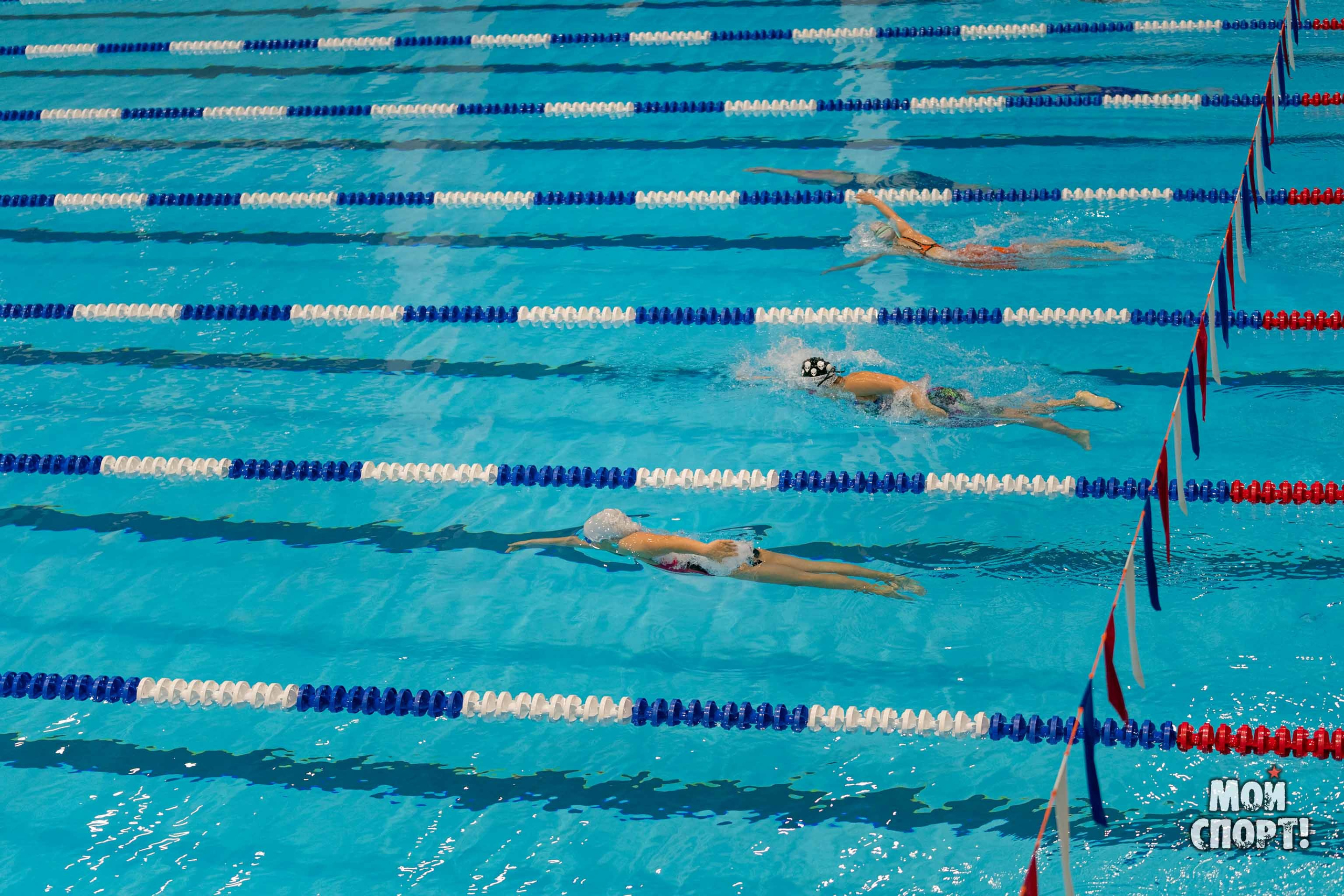 Соревнования по плаванию на призы Деда Мороза. Студия «Мой Спорт!» — все о спорте в Якутии