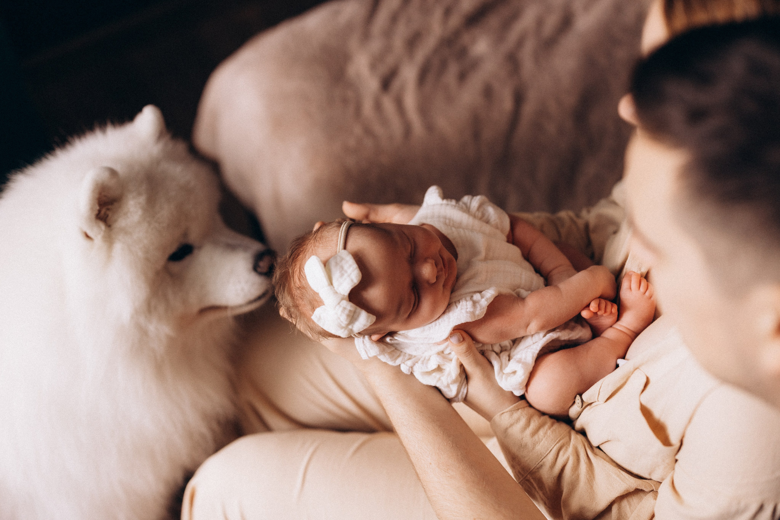 Василиса. Евгения Пелипас