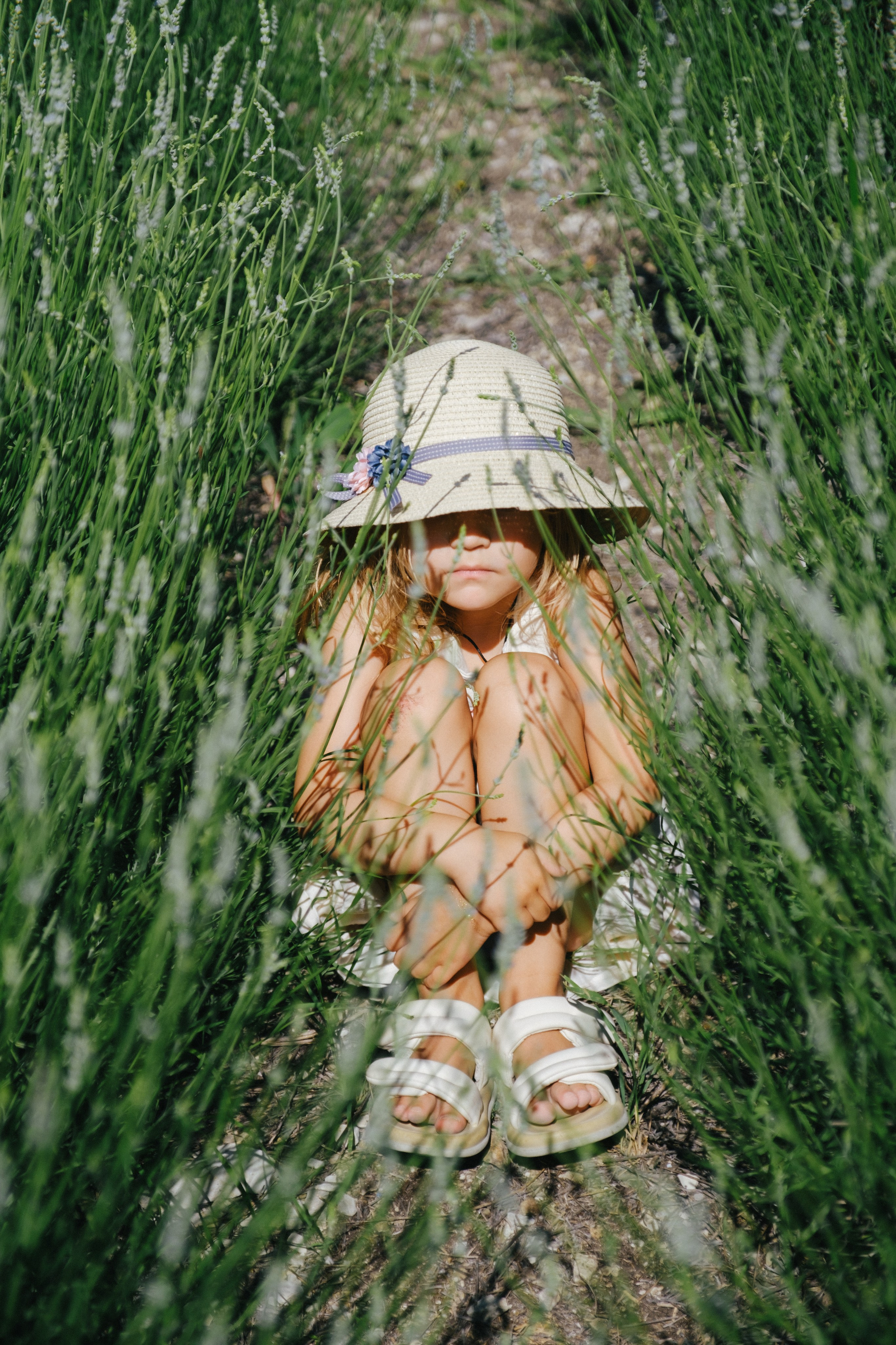 Лавандовые поля-Maison de Plantes. Свадебный Видеограф Фотограф в Сочи