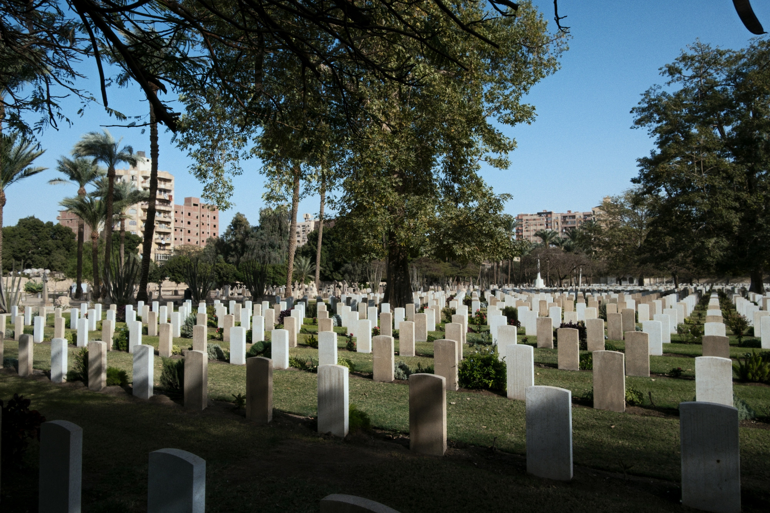 War Memorial Cemetery / Cairo, Egypt AW25. Фотограф Юрин Евгений