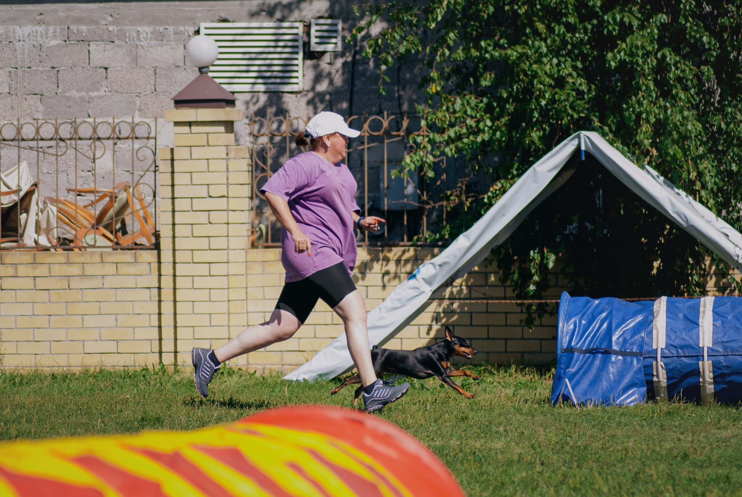 Аджилити. Фотограф в Тюмени Лизавета Сапицкая