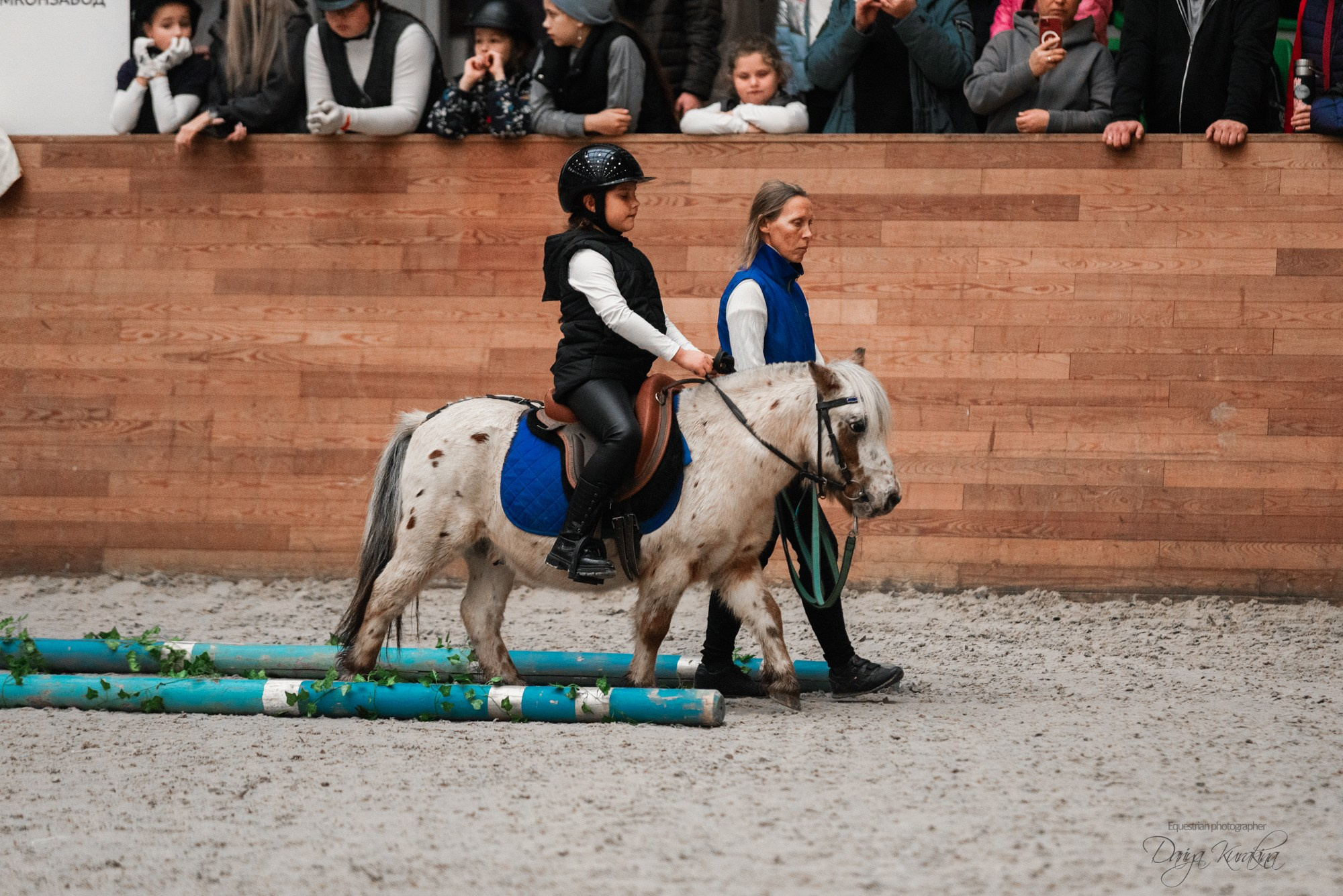 8-я международная выставка Конная Россия. Конный фотограф Куракина Дарья • Фотосессии с лошадьми