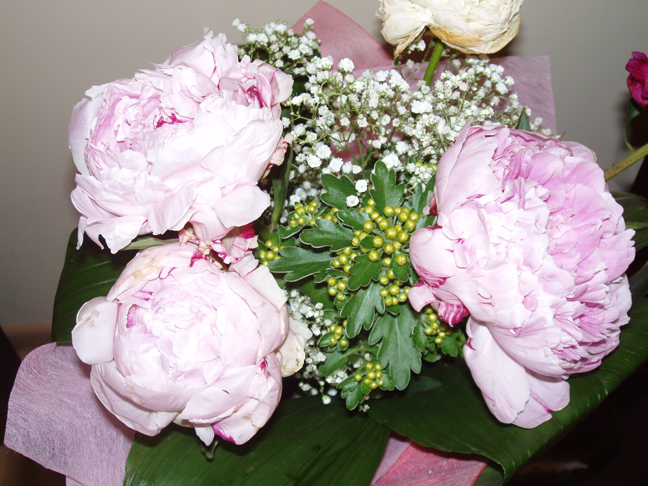 Мама ДР 30.06.2012. Семейный, Свадебный фотограф СПБ Питер— Романова Екатерина