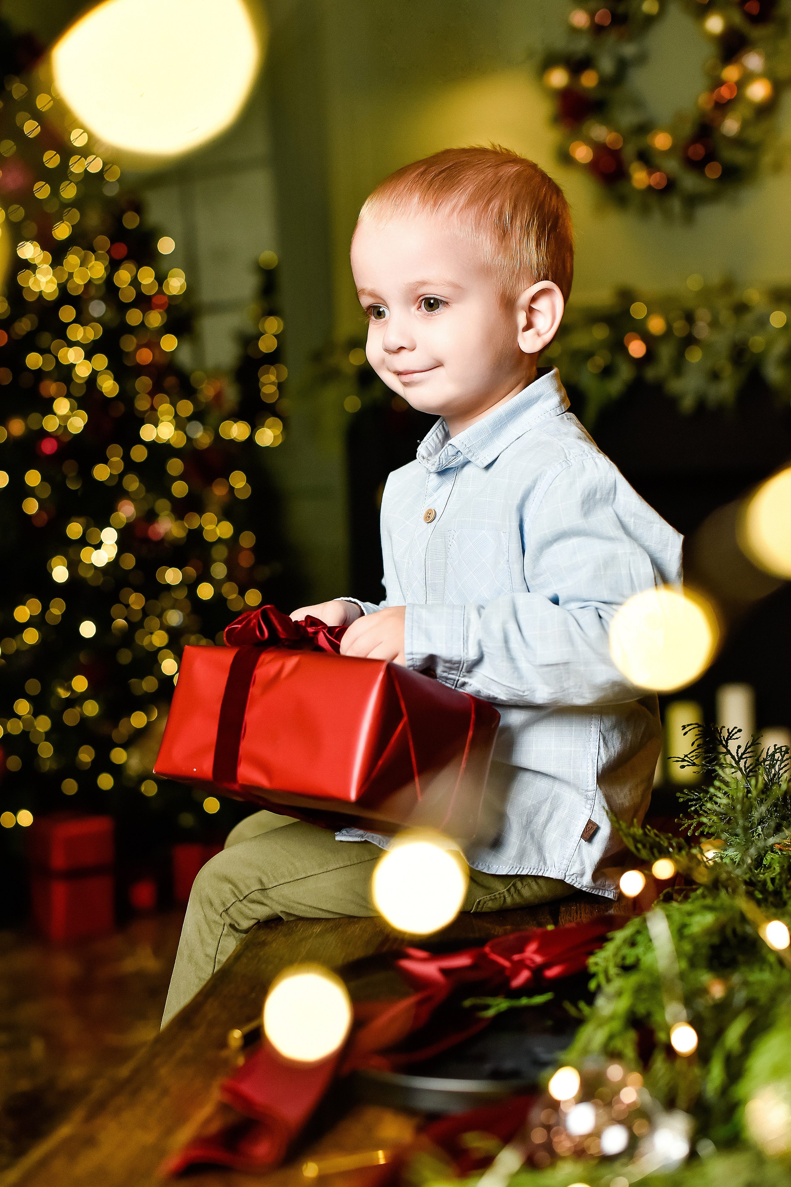 Большая семья Лины