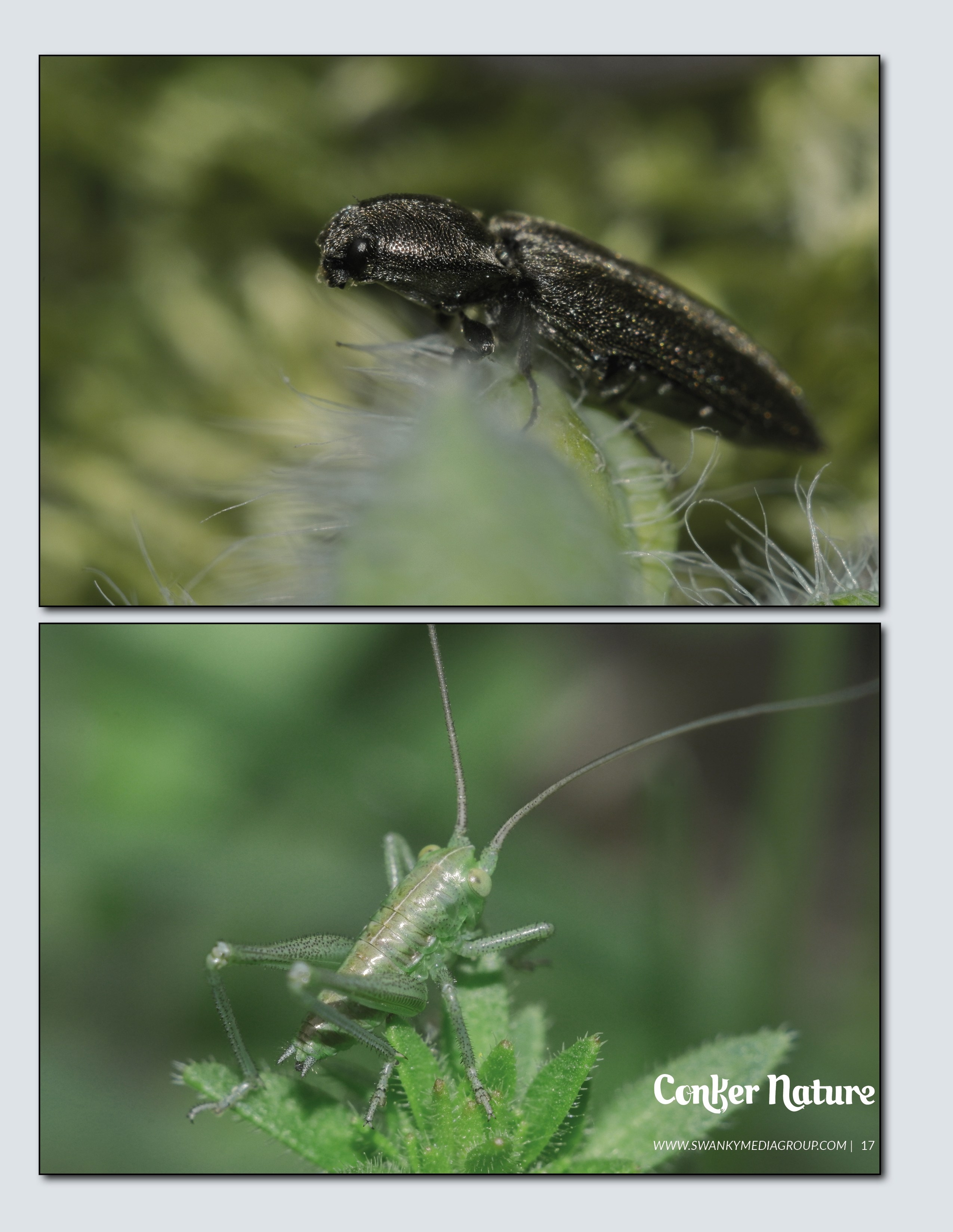 My publications in printed publications, magazines. Фотограф (photographer) Lischinski Vitaliy