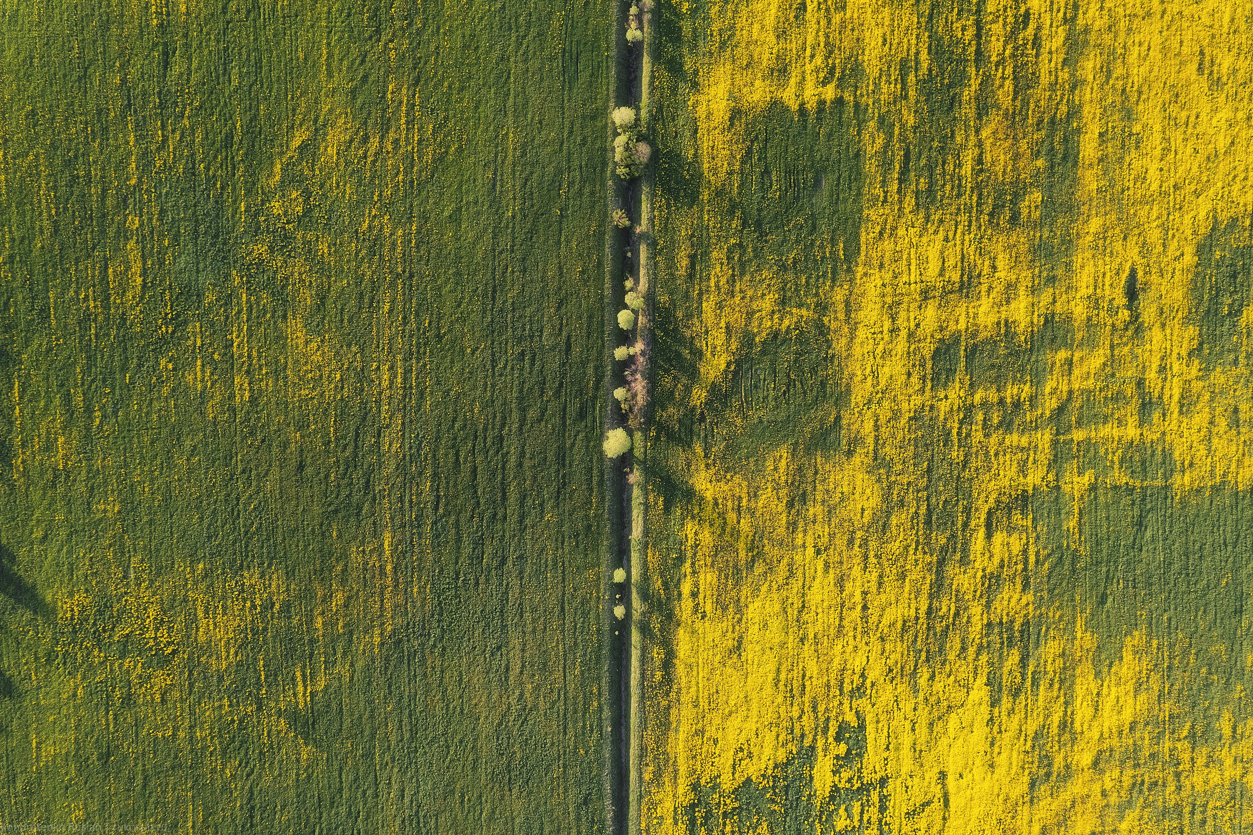Ленинградская область. Архитектурный и пейзажный фотограф Кондратенко Руслан, Санкт-Петербург