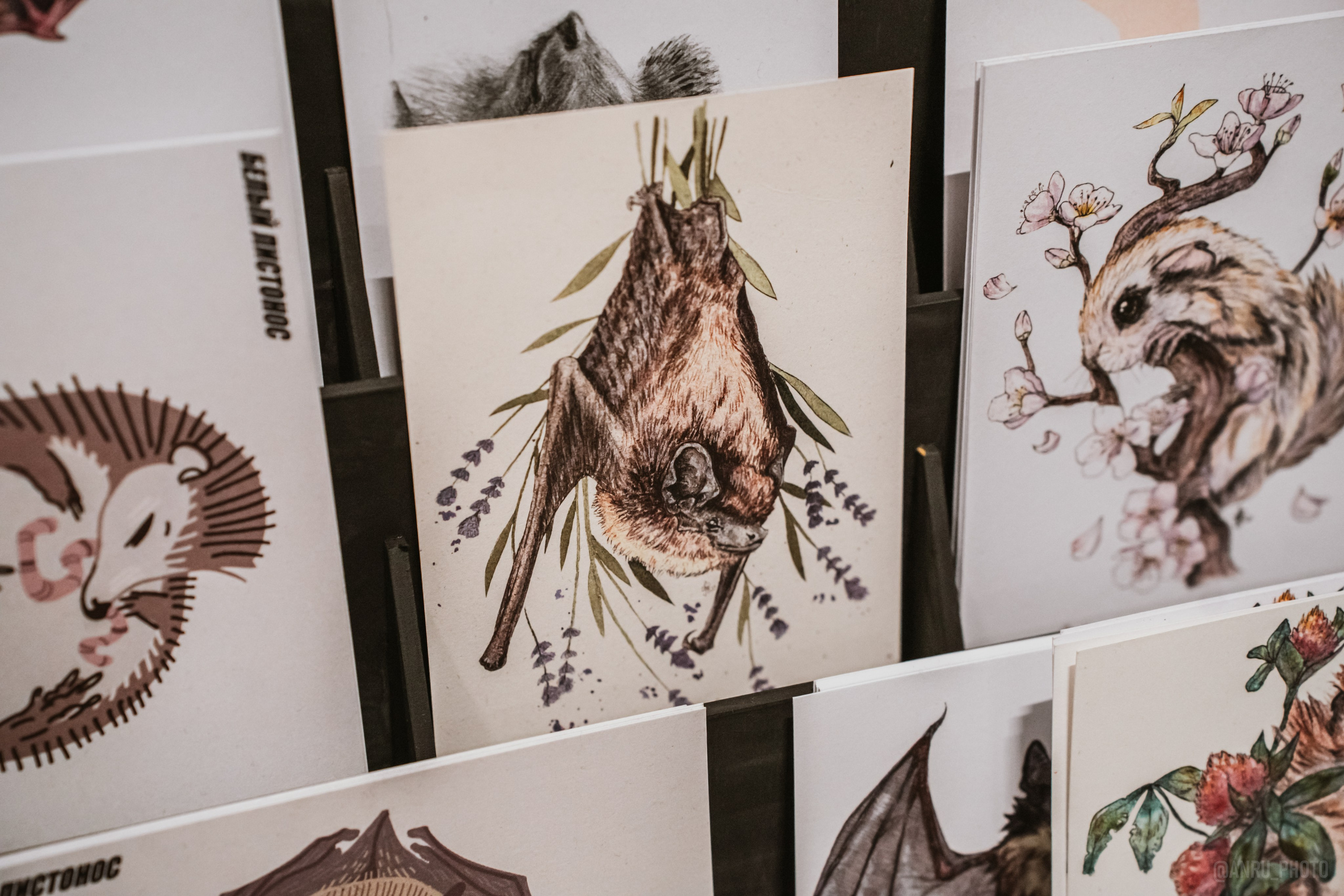 Рептилиум (ручная работа). Репортажный фотограф Анастасия Рубцова