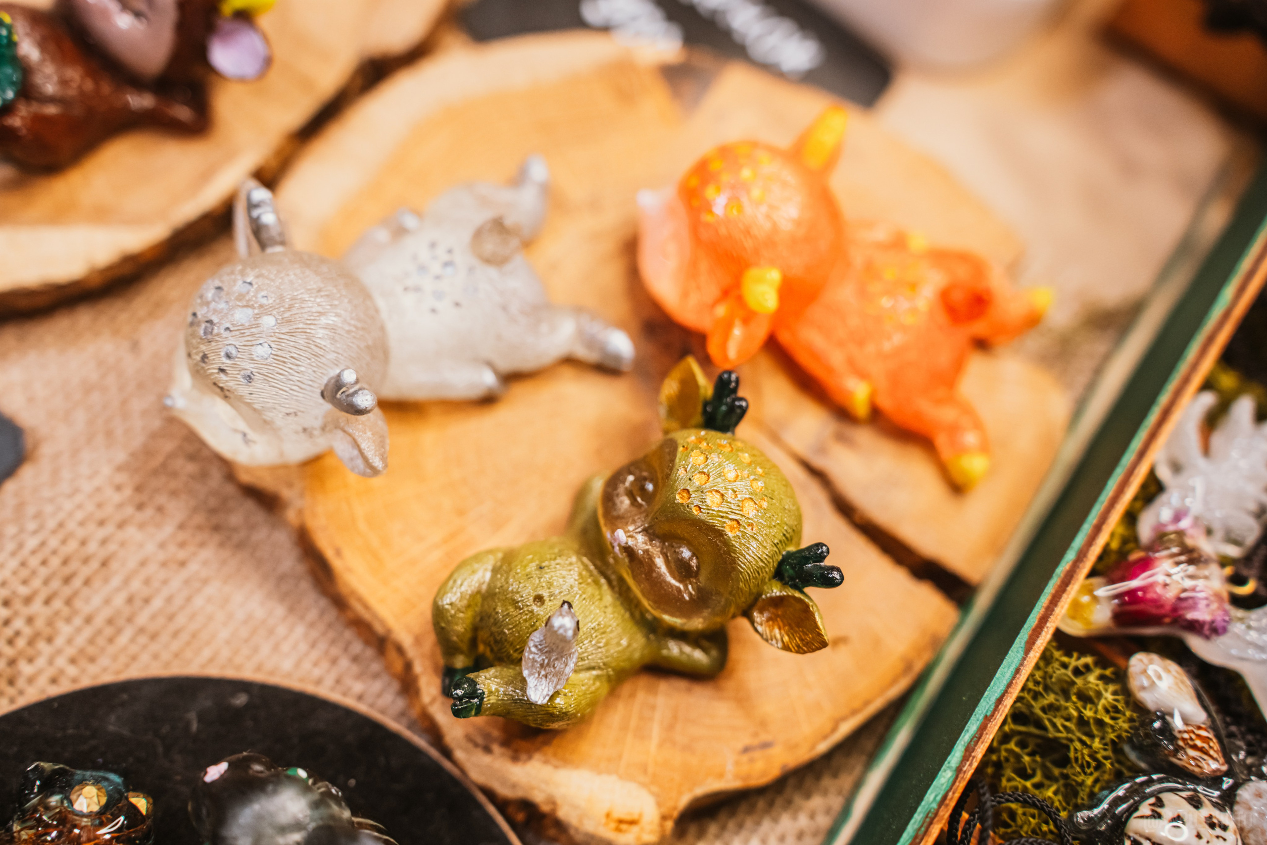 Рептилиум (ручная работа). Репортажный фотограф Анастасия Рубцова