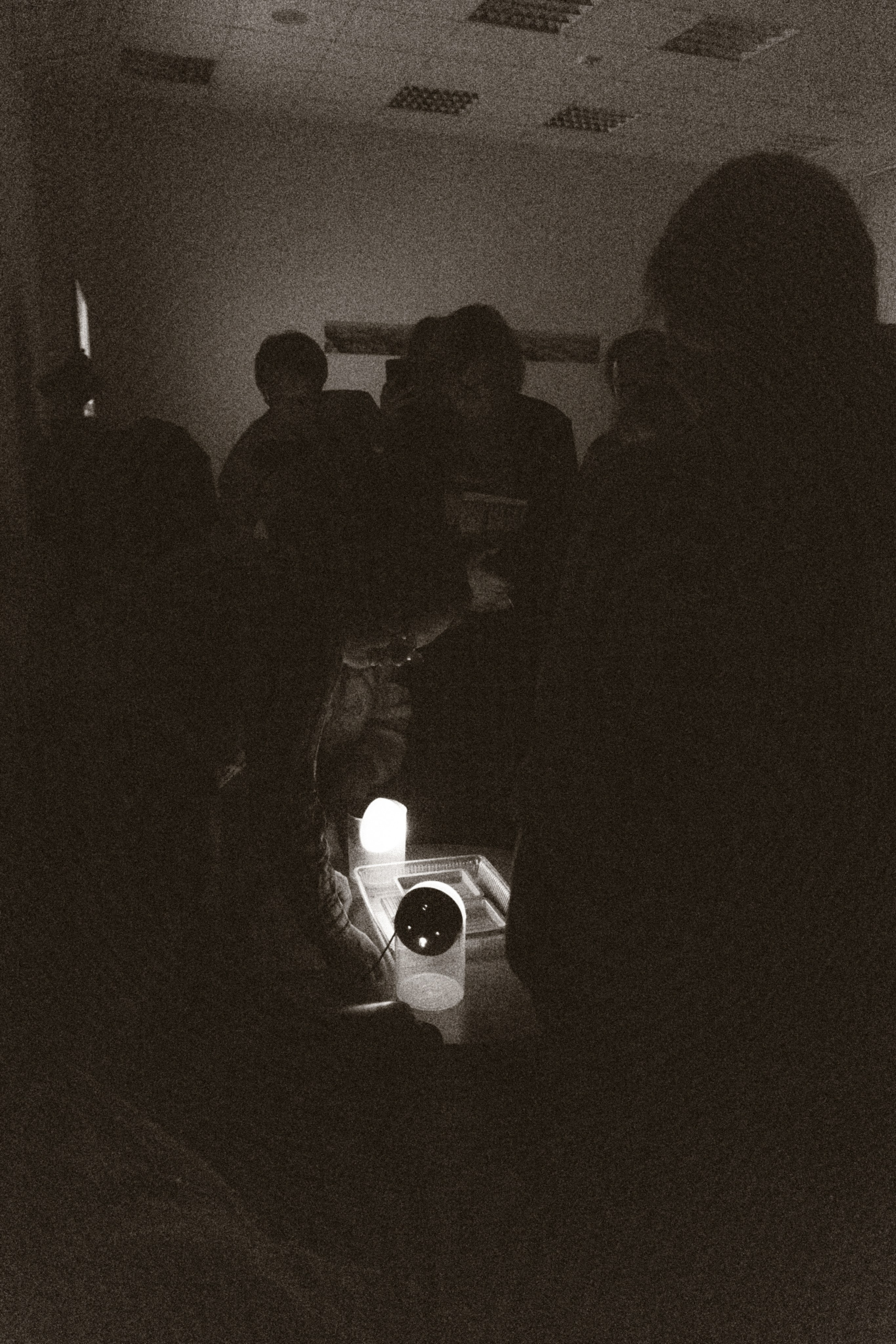 ТАСС. Фотограф Мурманск | Нижний Новгород • Анна Хижняк