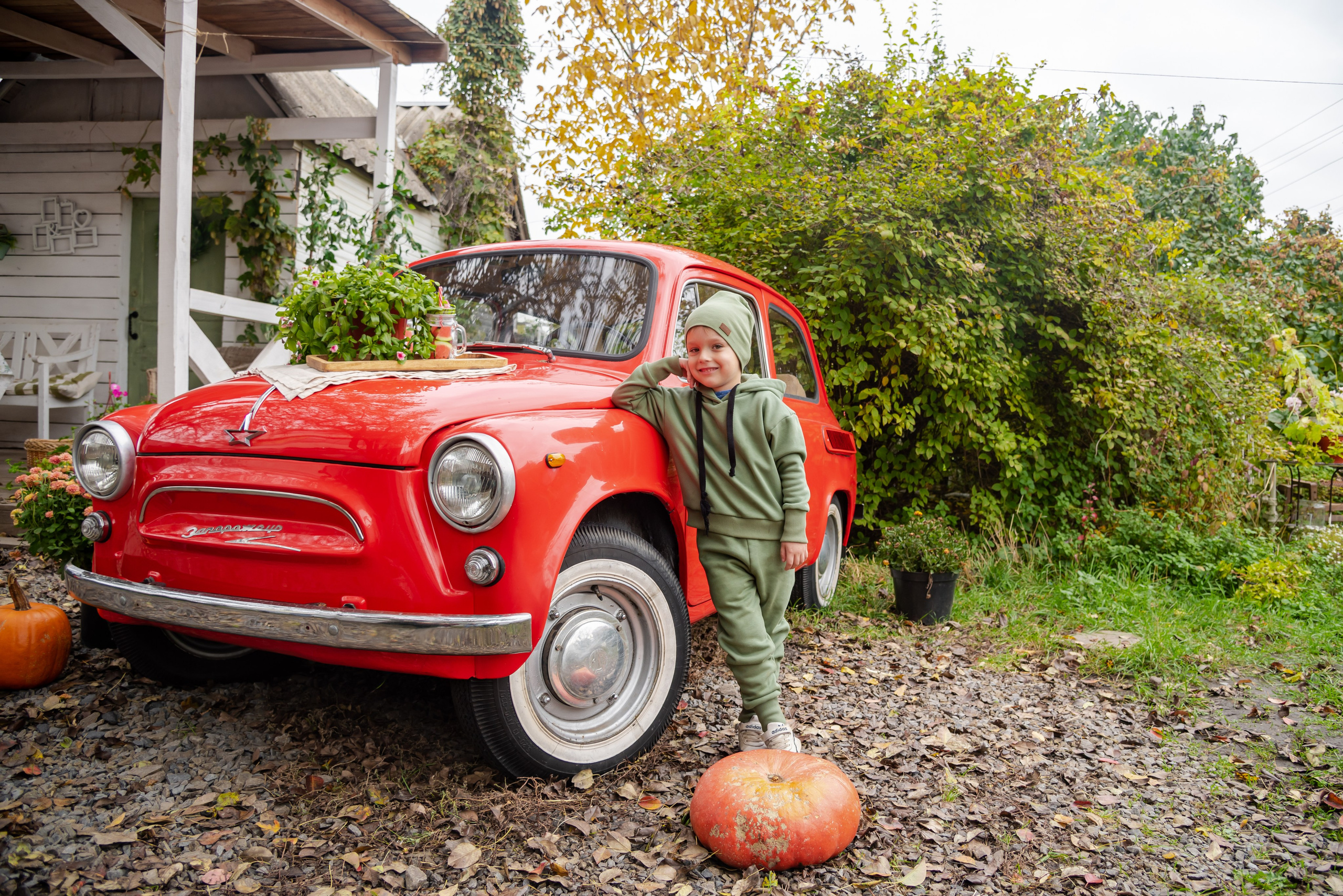 Авакадо. Фотограф Галина Нестерова
