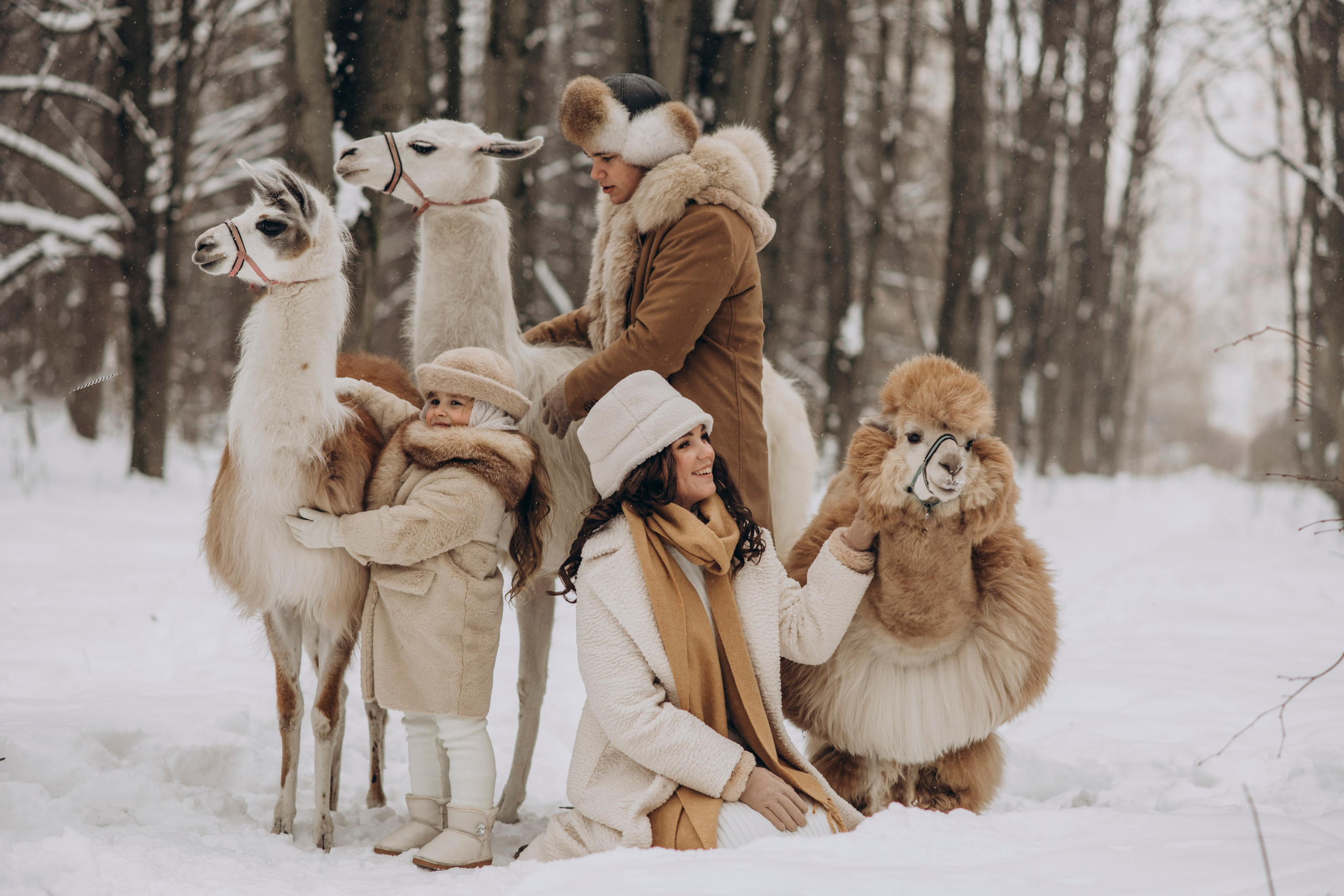 Зимняя фотосессия с Альпаками. Свадебный фотограф в Дмитрове