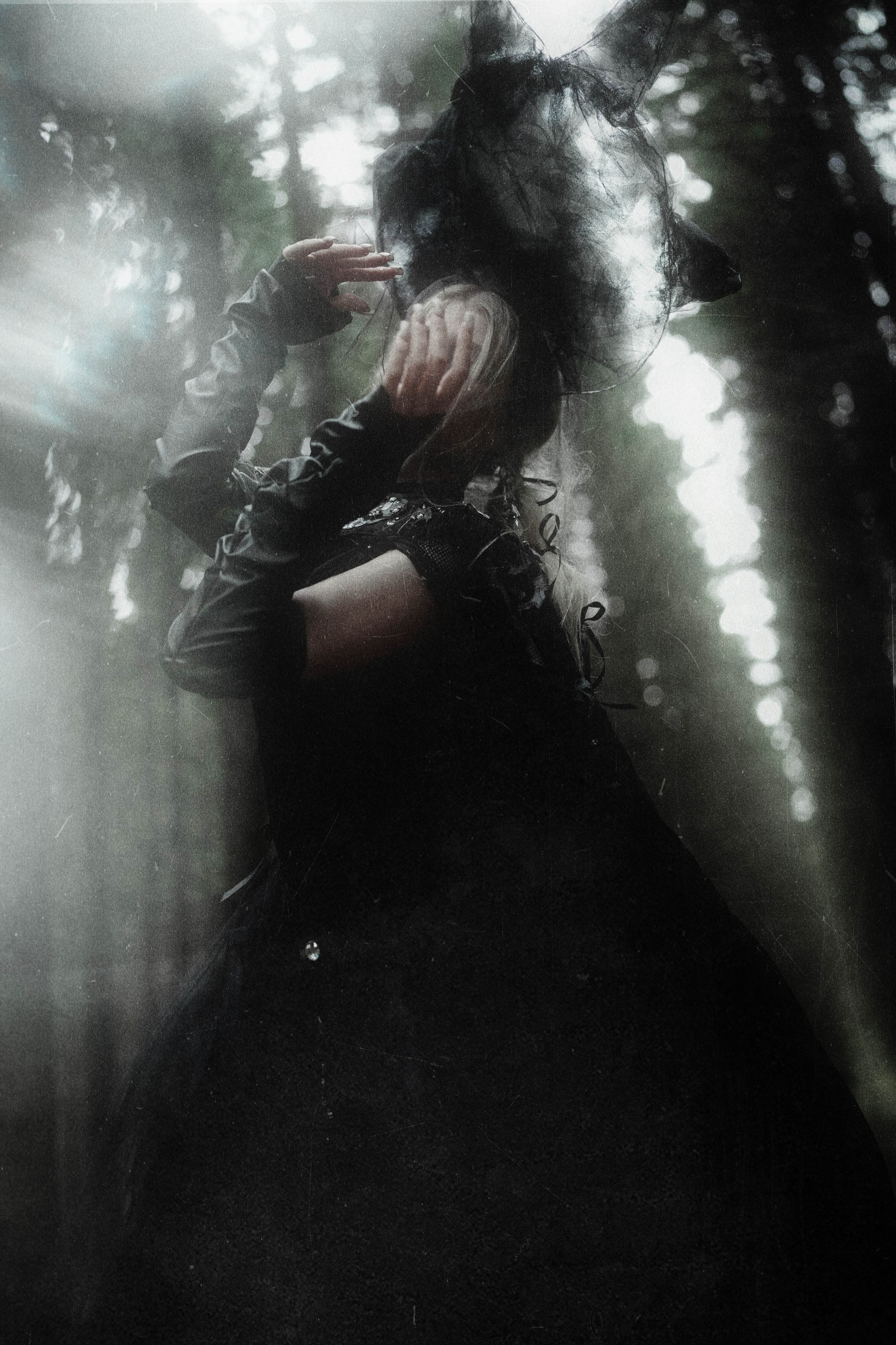 DARK FOREST. Фотограф Julia Nova