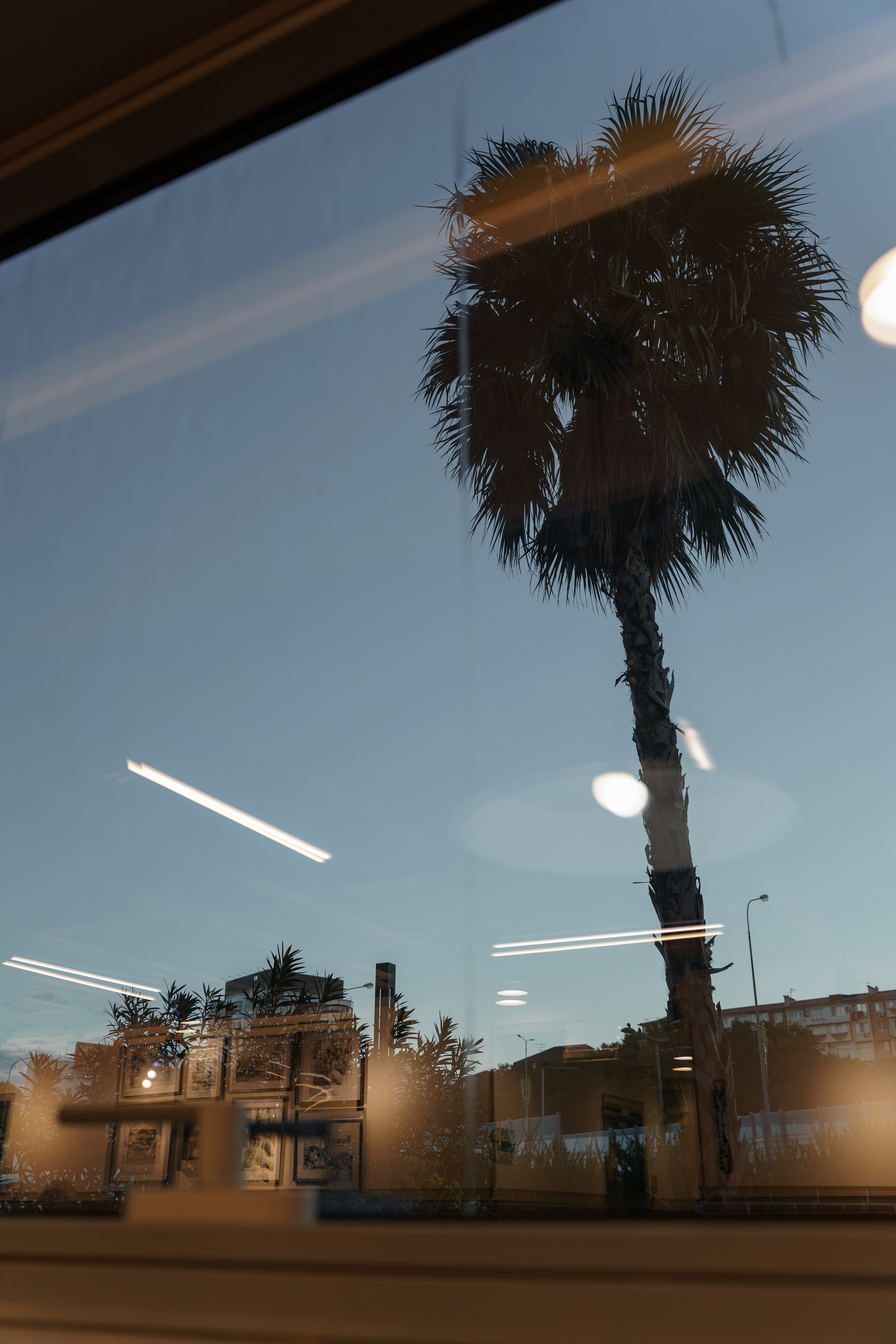 Глеб Лиза. Свадебный фотограф в Краснодаре Алексей Кудинов