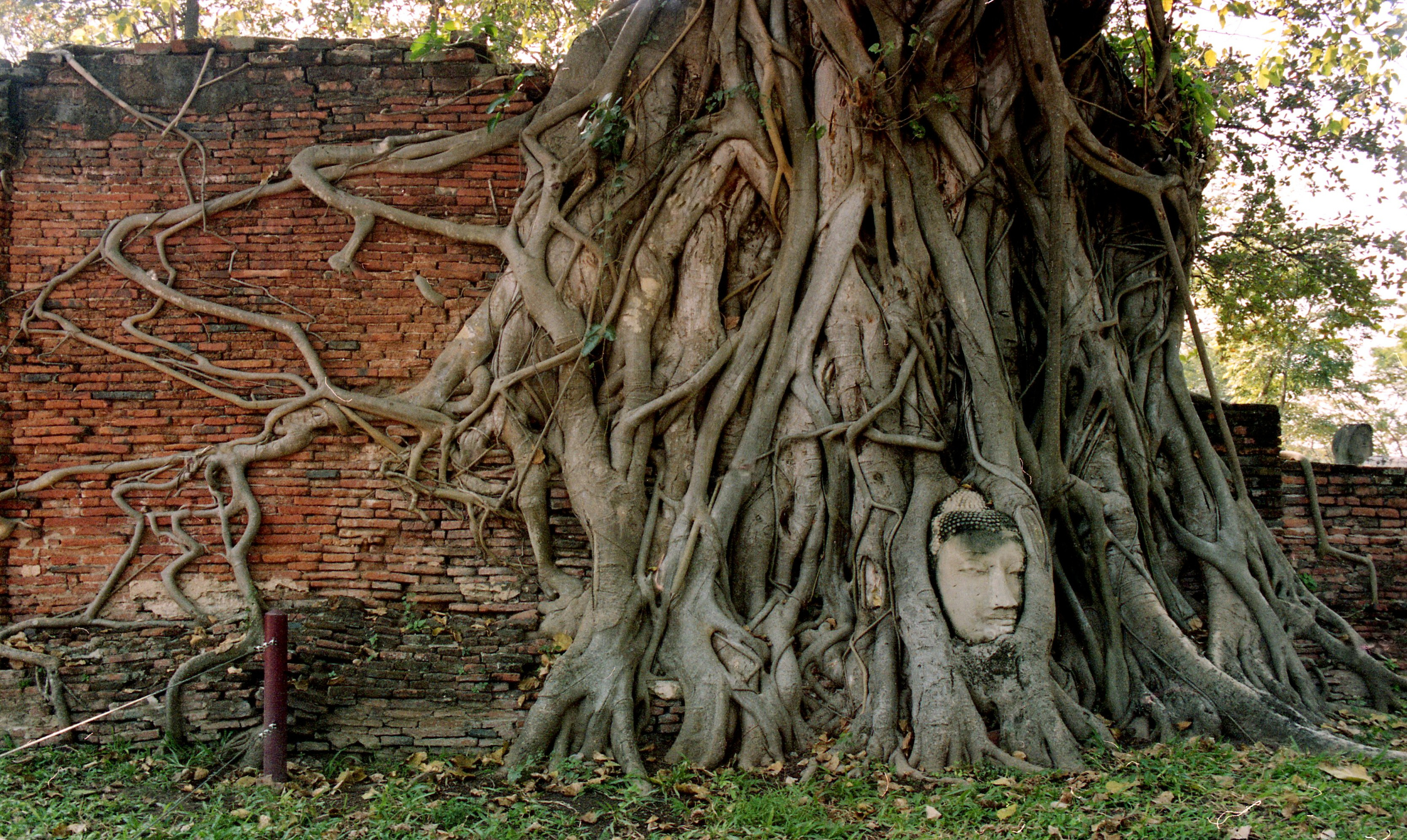 Тайланд. Елена Никитина. Фотохудожник. Пленочная фотография. Принты