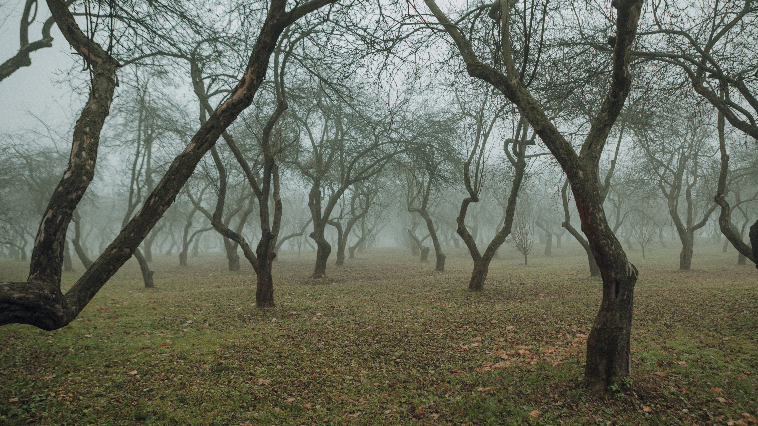 Главная. Фотографирую светом и сердцем в Москве с 2014 года