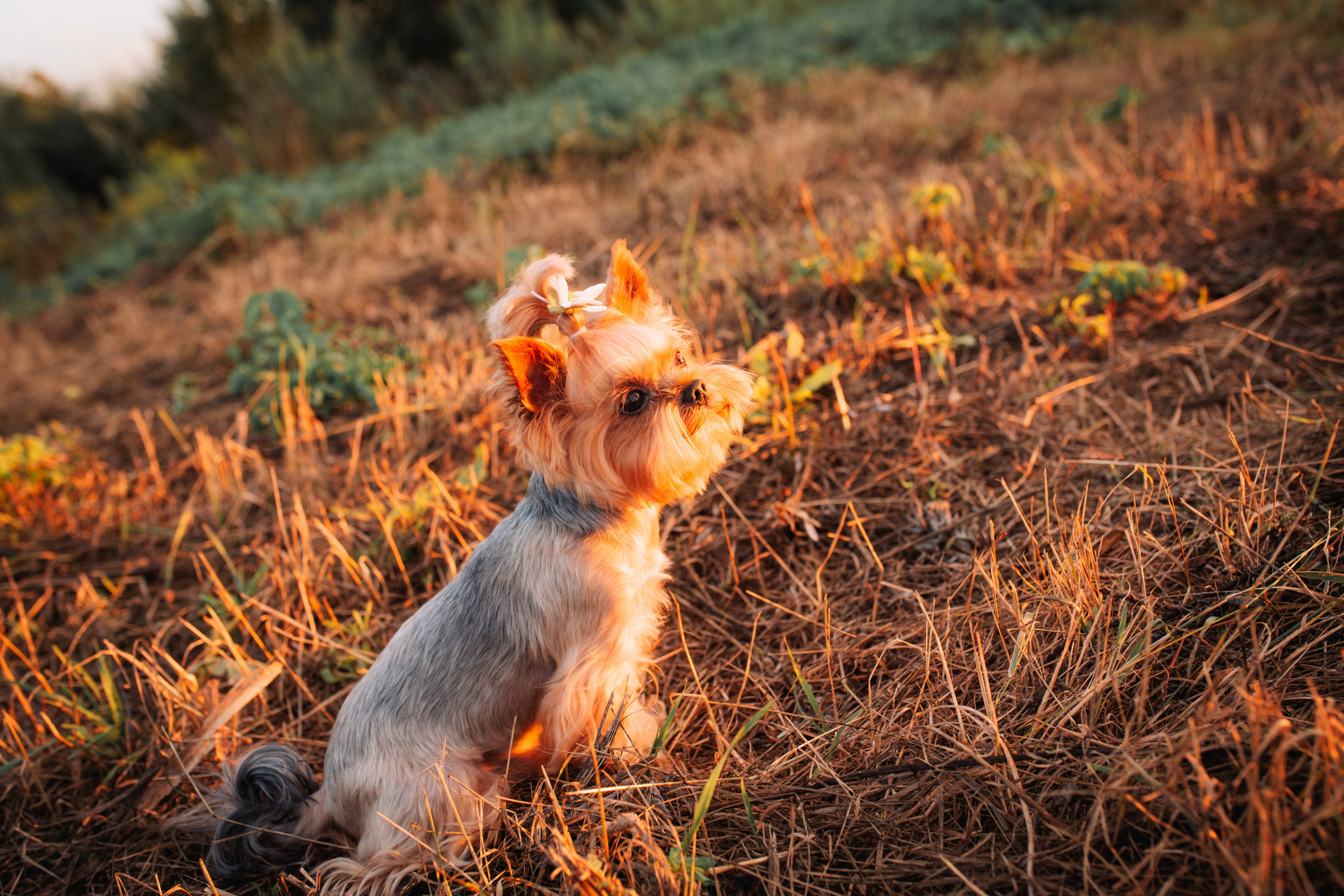 Анна, Игорь и Варвара