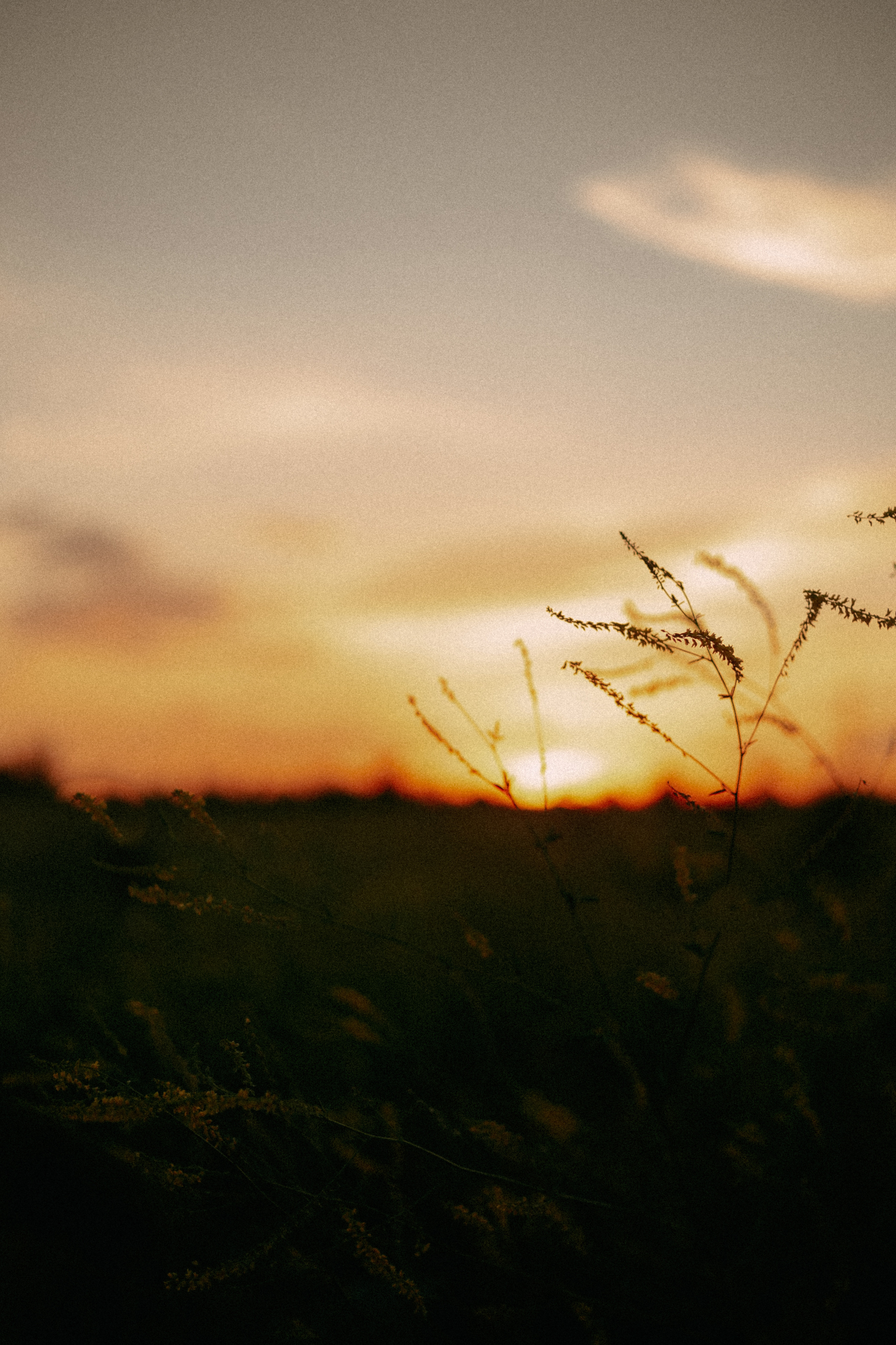 Вика, Владислав и ♡. Катерина Макиева