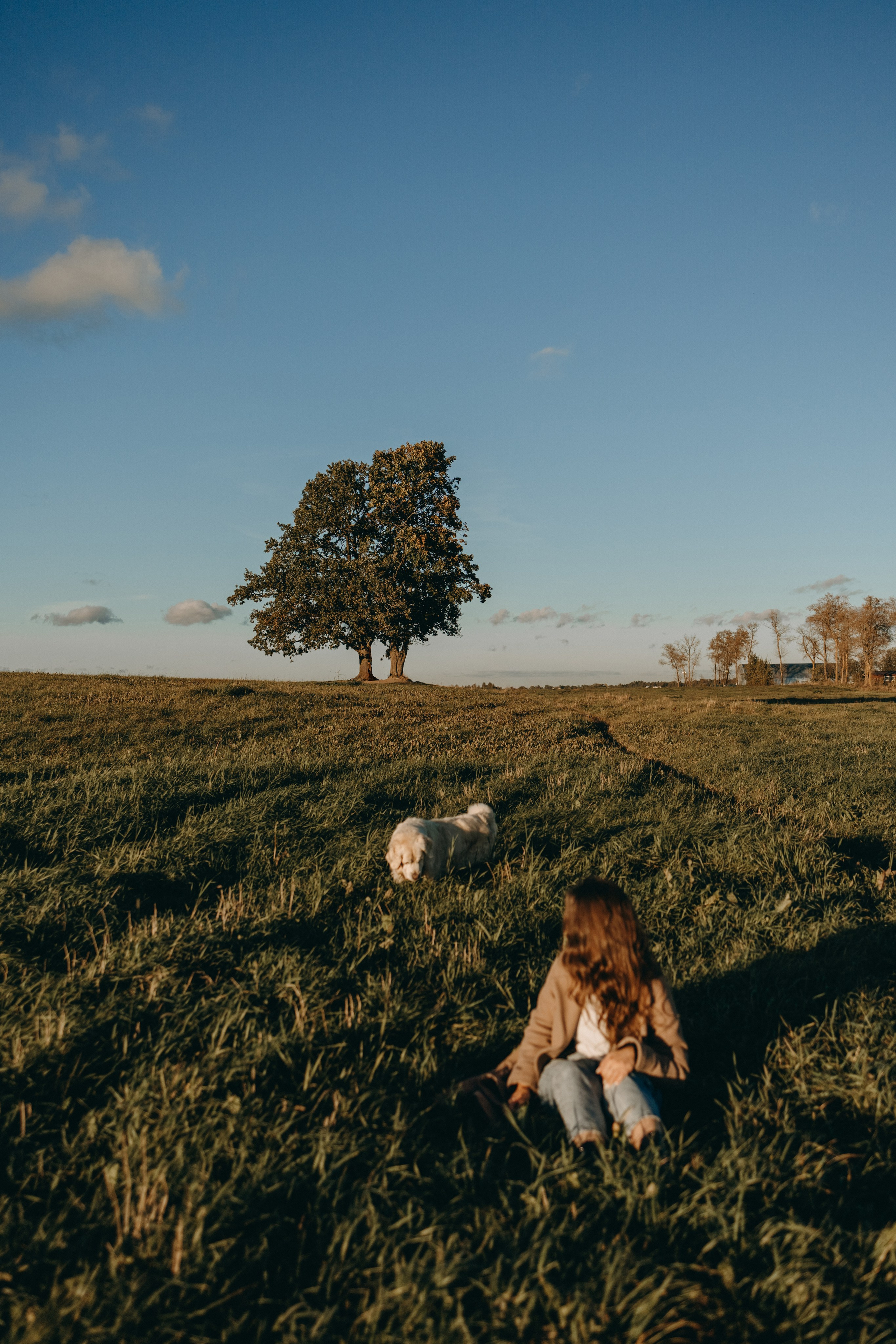 Лера и Скай. Фотограф — Анималист | Санкт-Петербург
