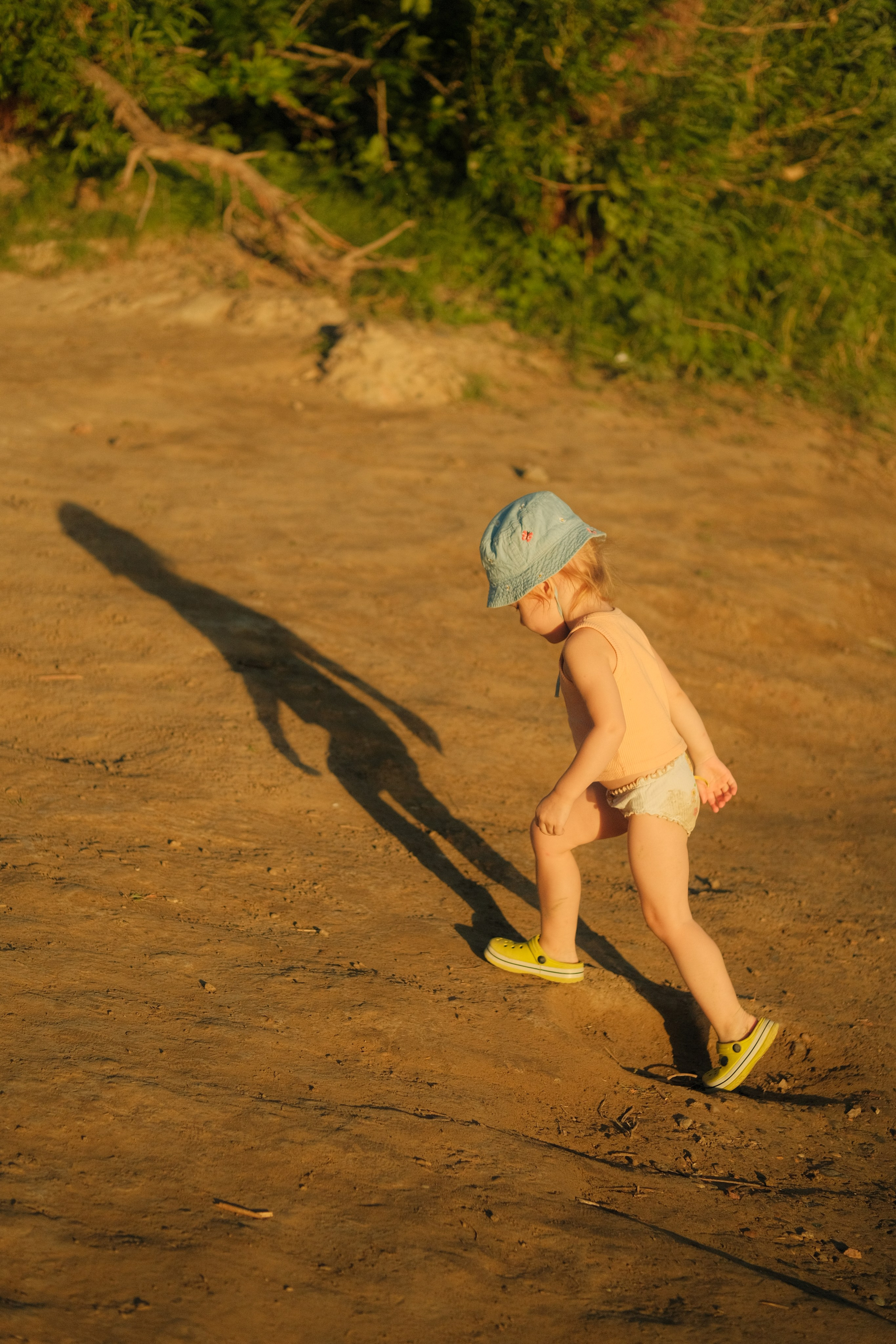 Автор: Васса Афанасьева