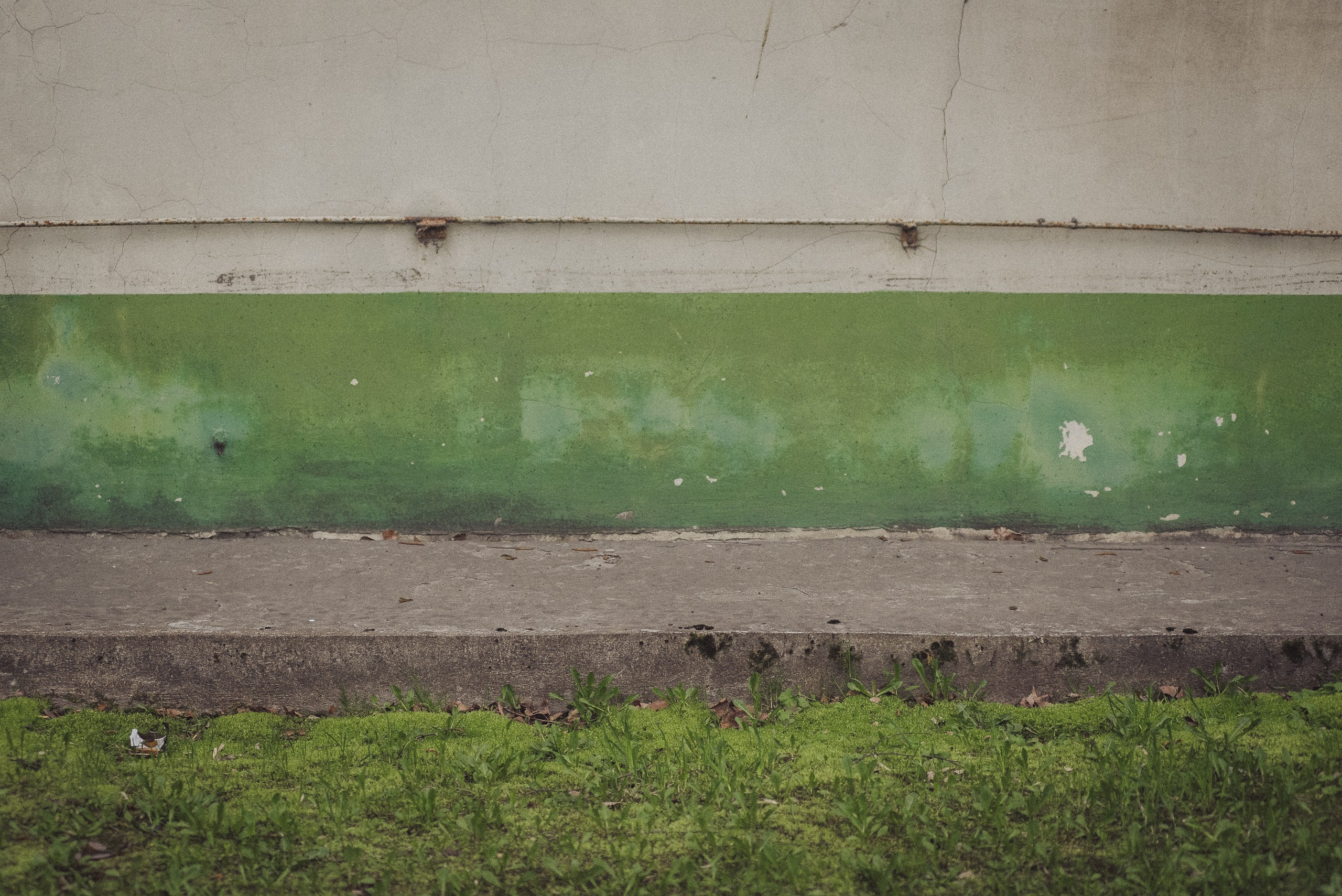 Проект «На улице Ленина». Рыбинск, пр. Ленина. Документальный фотограф Илья Тихановский