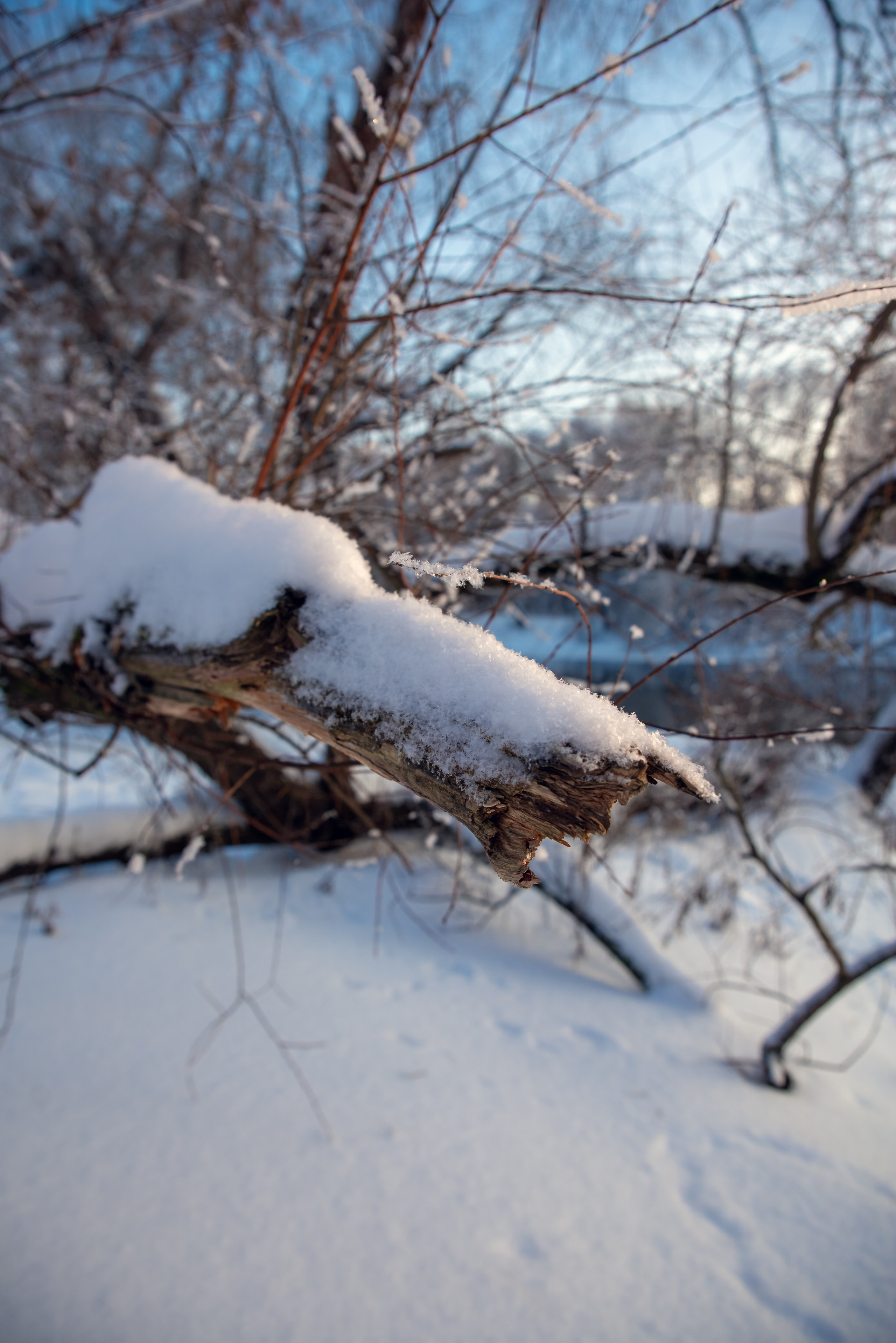 Зимушка зима. Фотограф Крещение Венчание Москва