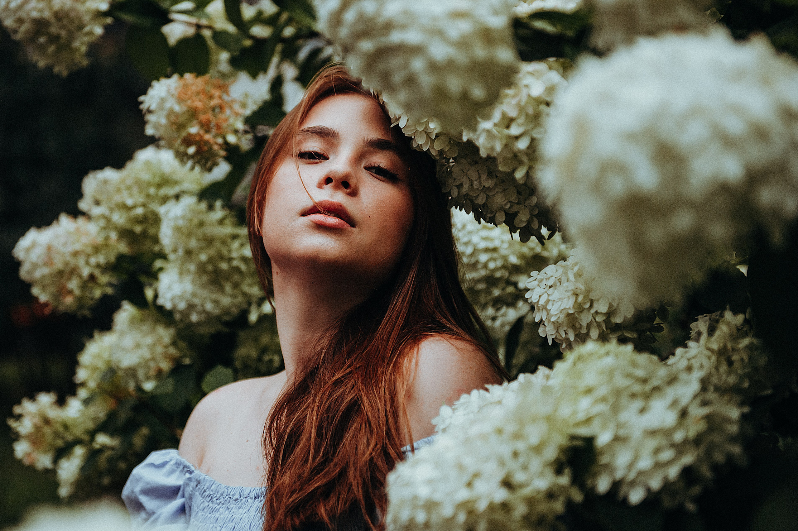 In bloom. ФОТОГРАФ В МОСКВЕ ЛЮДМИЛА СТРОКОВА