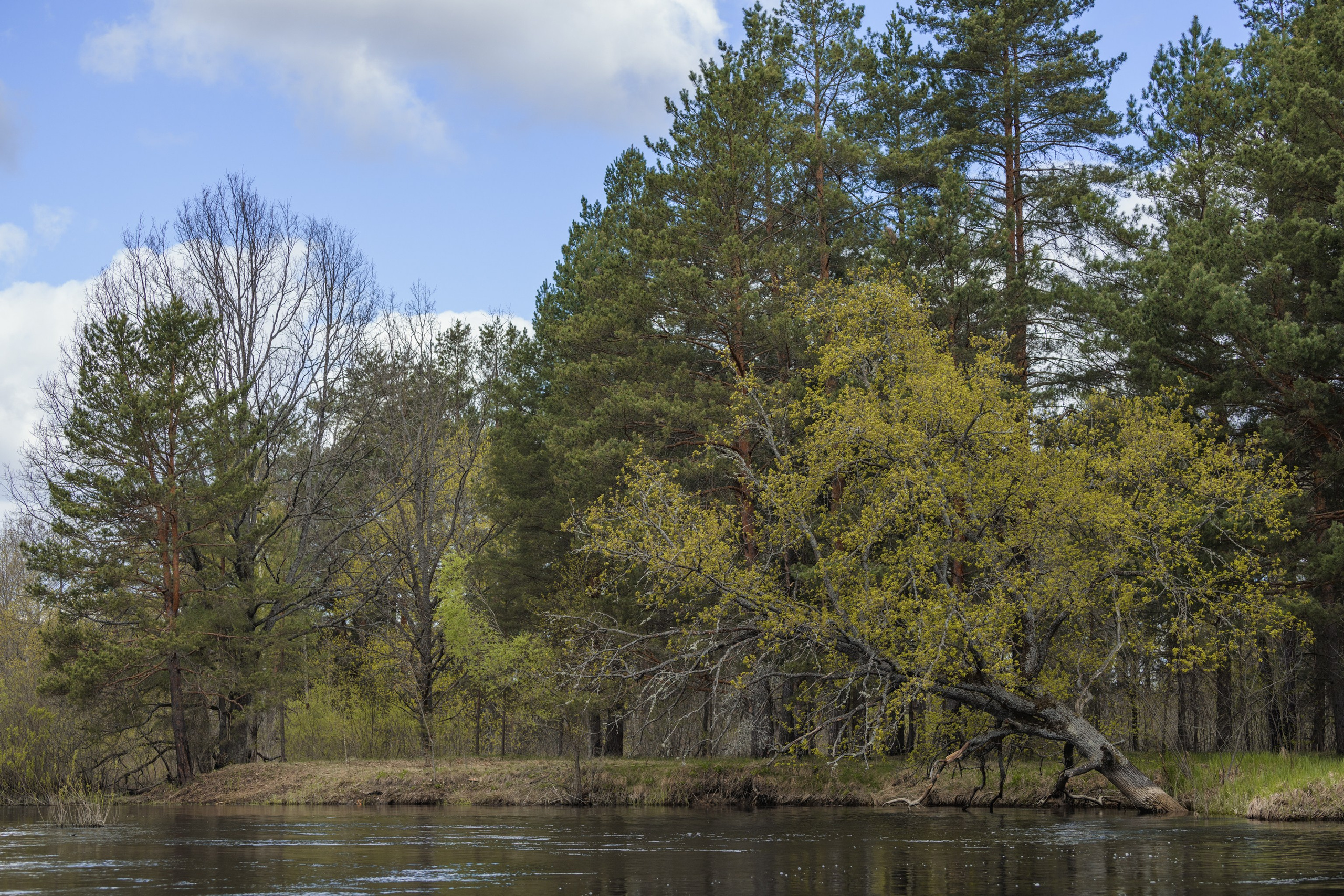 Водный поход 1-й кс по реке Случь. Репортажный фотограф Владимир Беляй