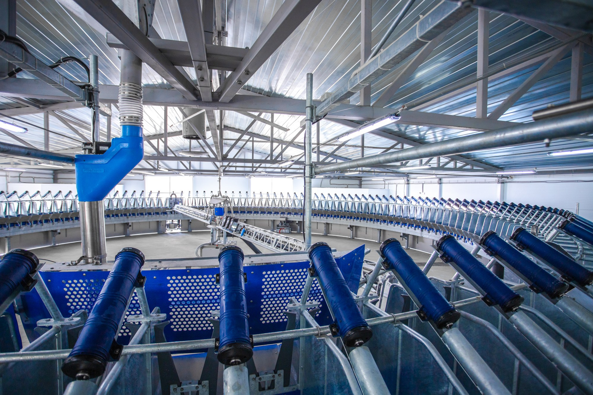 Открытие карусели для дойки скота. Репортажный, промышленный и маркетплейс-фотограф Дмитрий Чернат